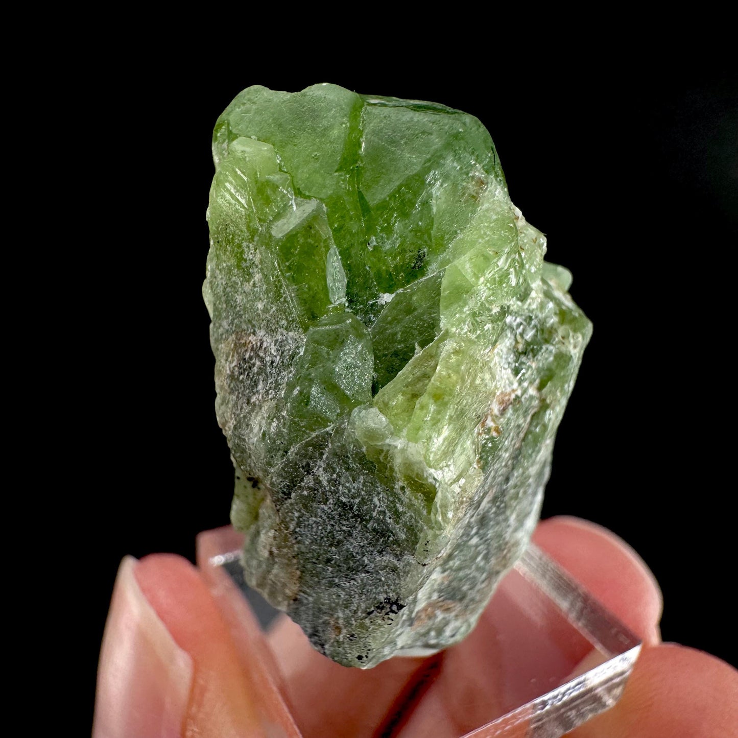 Peridot | natural terminated crystal, mineral specimen from Pakistan