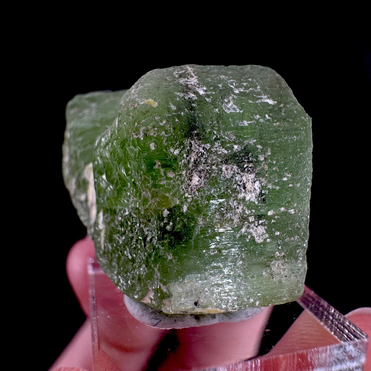 Peridot | natural terminated crystal, mineral specimen from Pakistan
