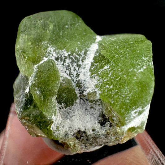 Peridot | natural terminated crystal, mineral specimen from Pakistan