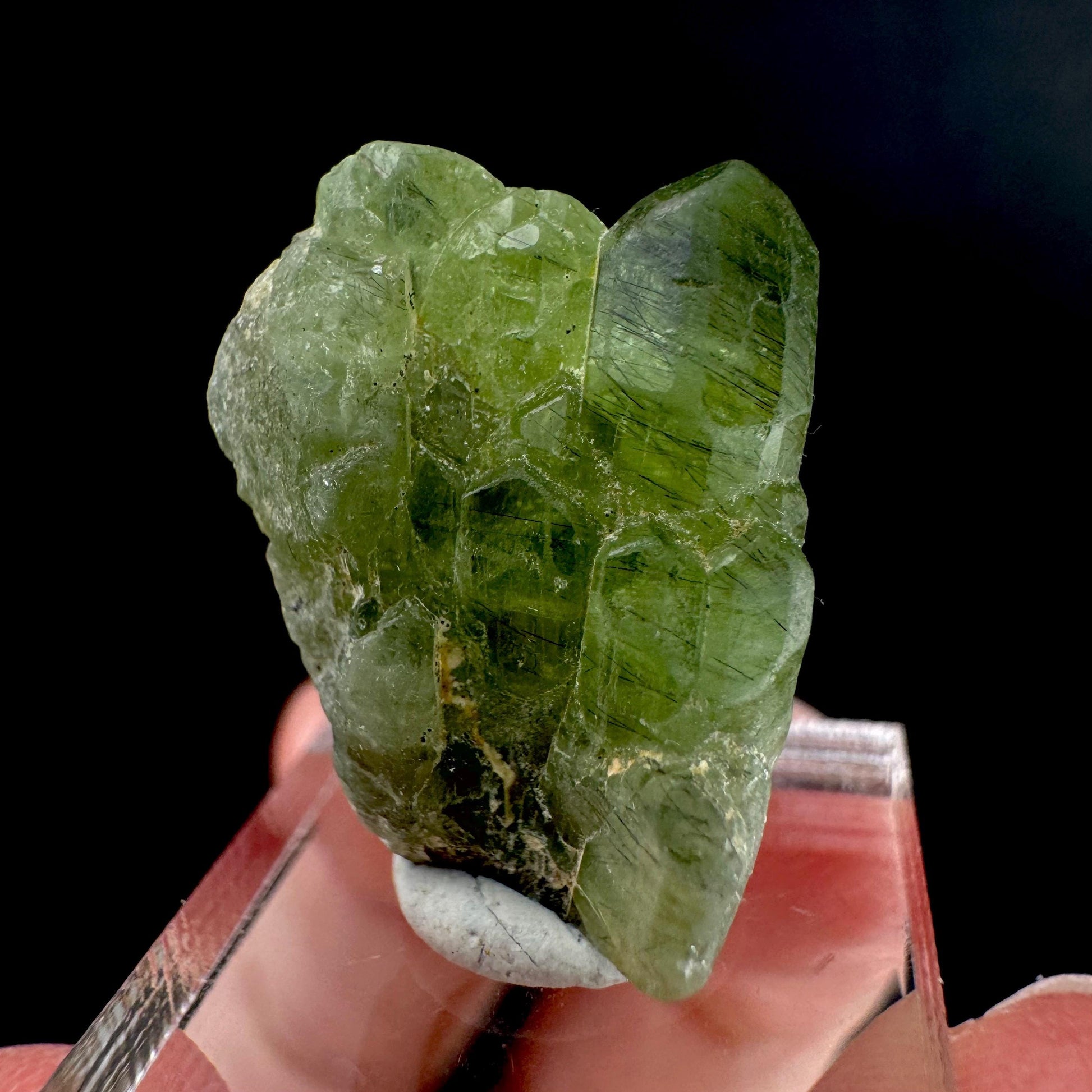 Peridot | natural terminated crystal, mineral specimen from Pakistan