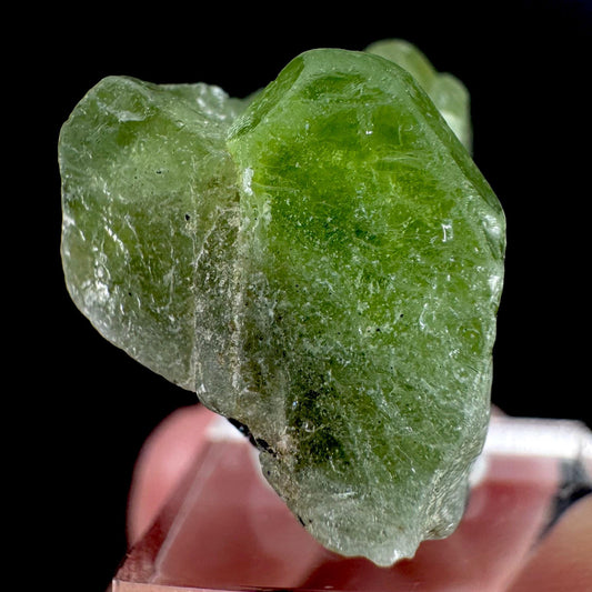 Peridot | natural terminated crystal, mineral specimen from Pakistan