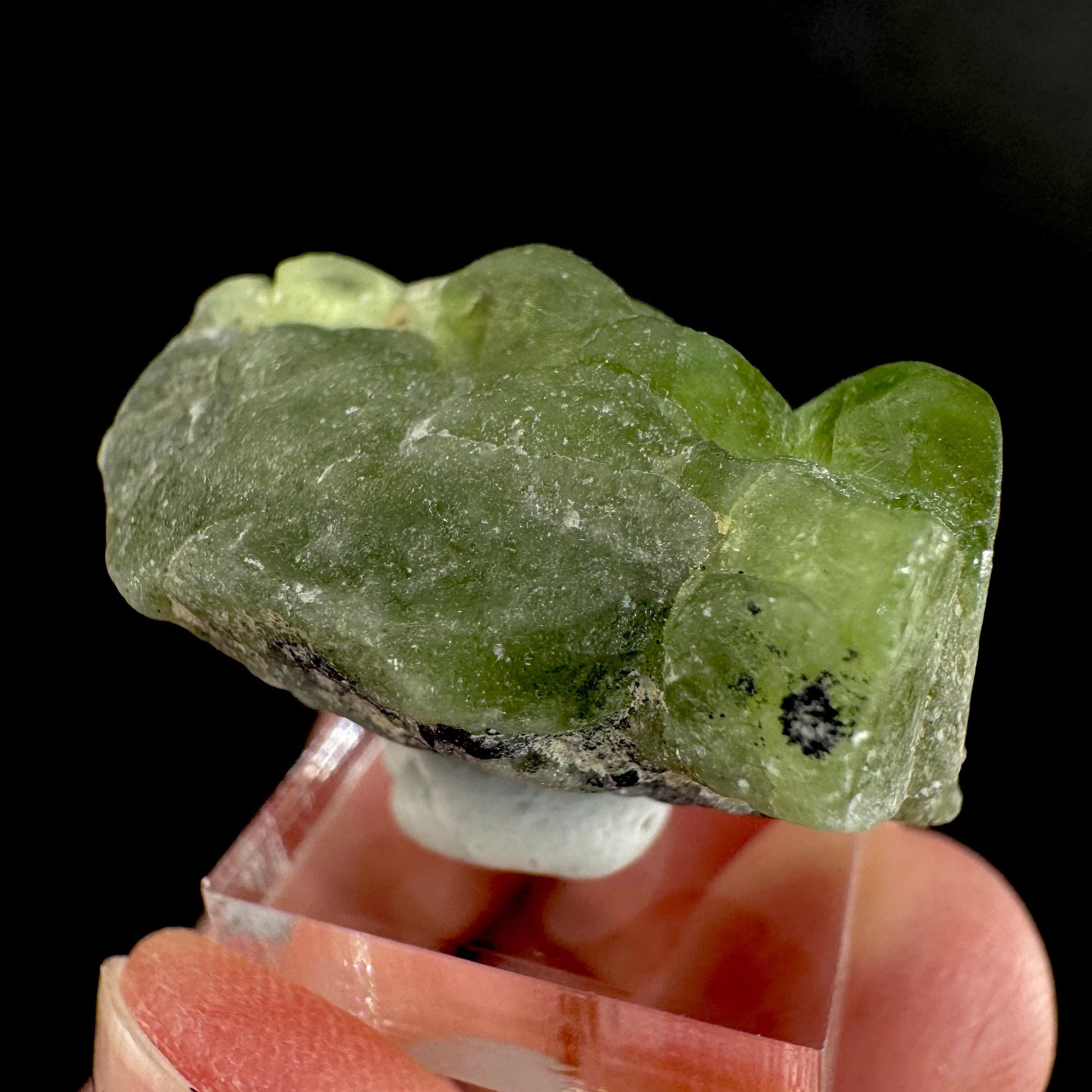 Peridot | natural terminated crystal, mineral specimen from Pakistan