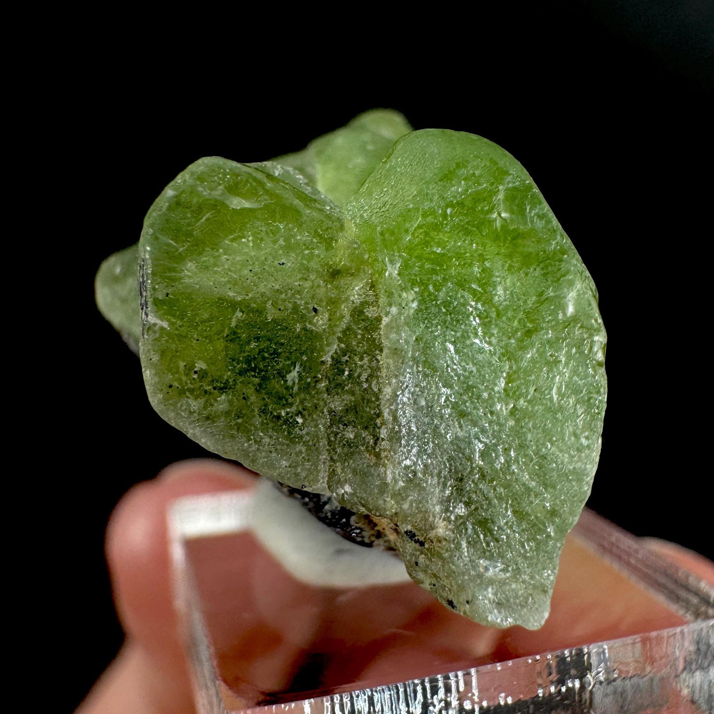 Peridot | natural terminated crystal, mineral specimen from Pakistan