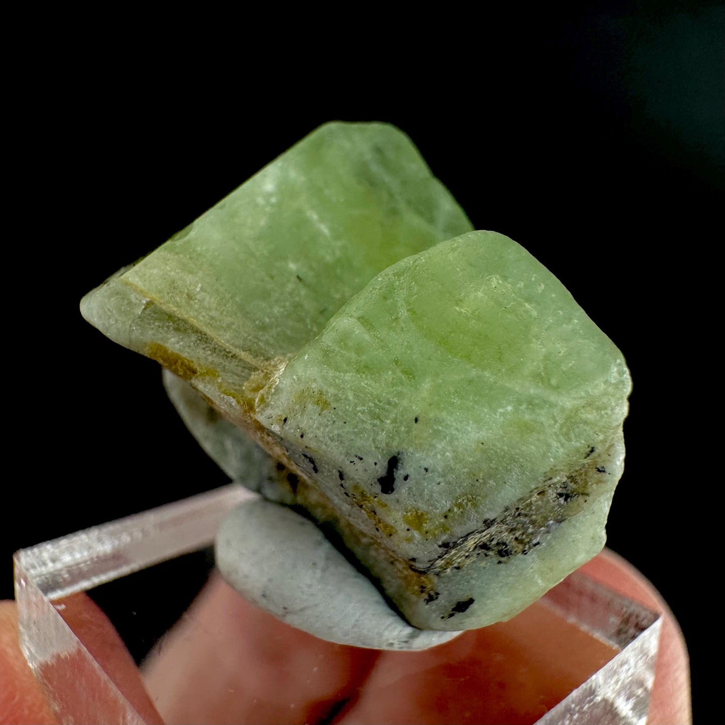 Peridot | natural terminated crystal, mineral specimen from Pakistan
