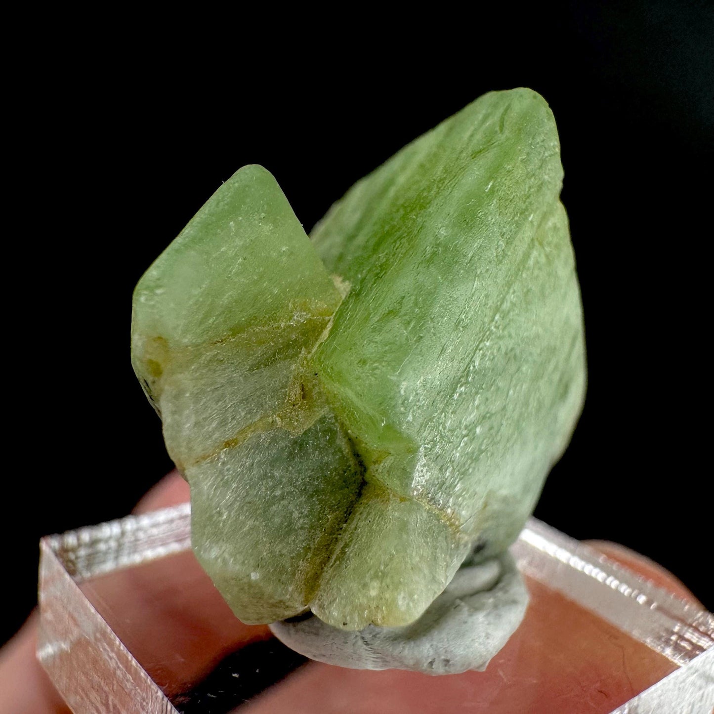 Peridot | natural terminated crystal, mineral specimen from Pakistan
