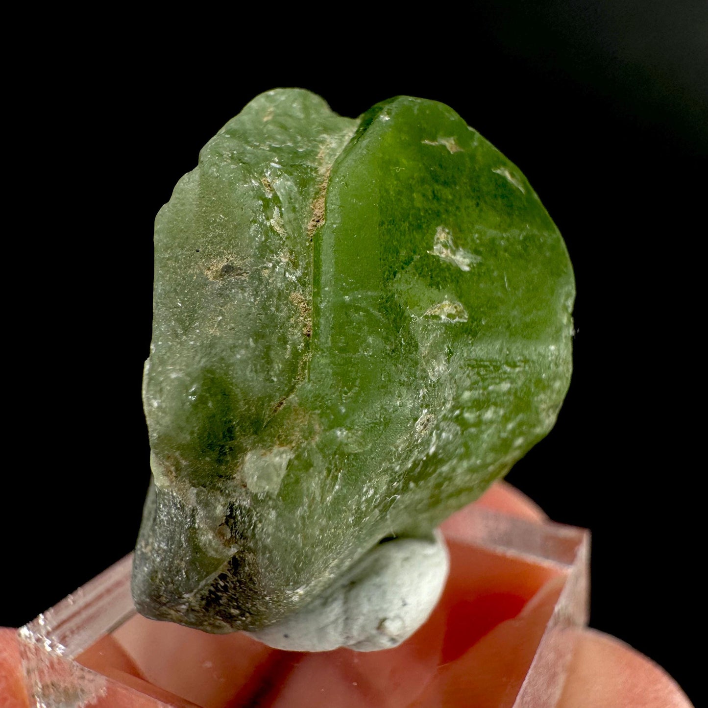 Peridot | natural terminated crystal, mineral specimen from Pakistan