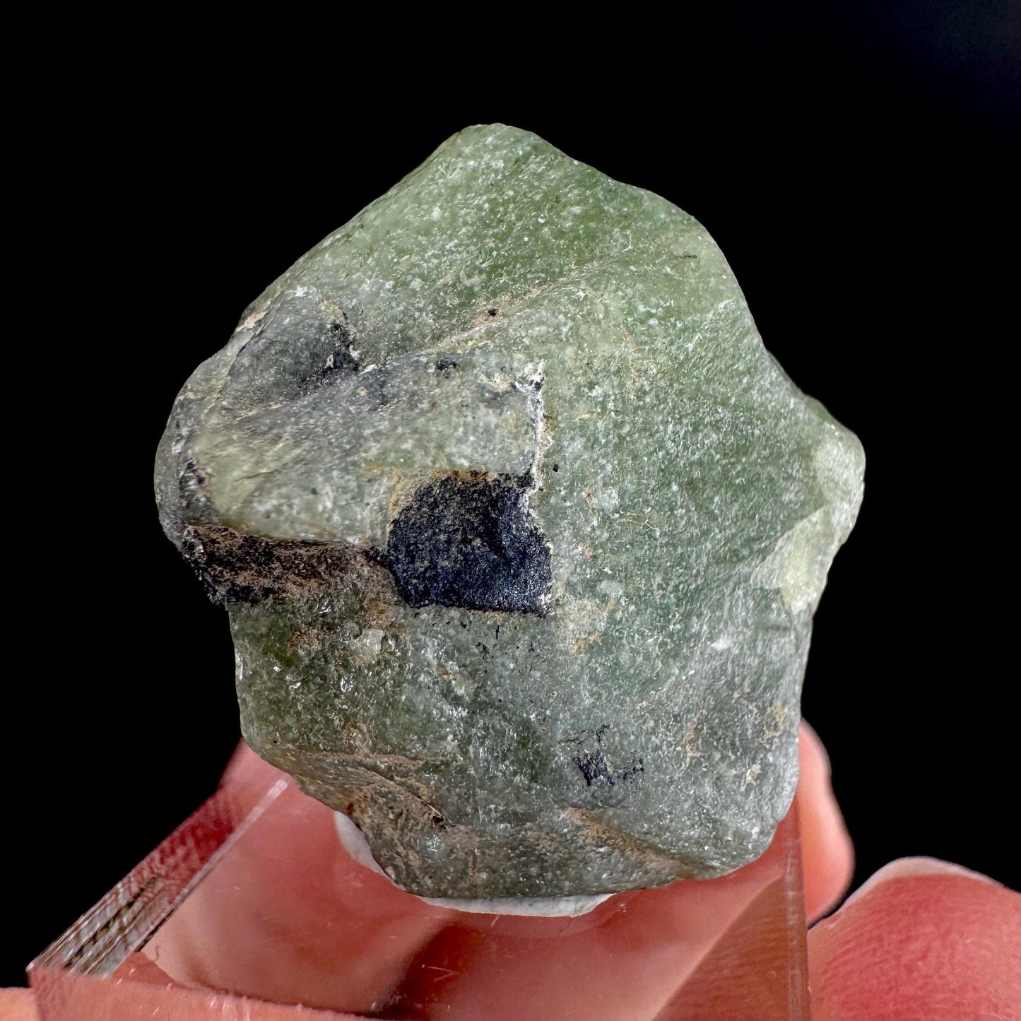 Peridot | natural terminated crystal, mineral specimen from Pakistan