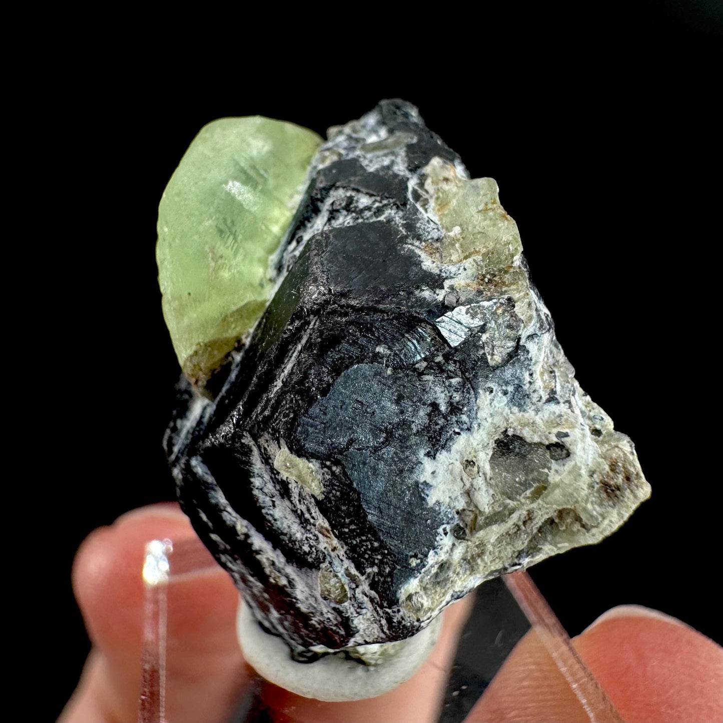 Peridot w/ magnetite | natural terminated crystal, mineral specimen from Pakistan