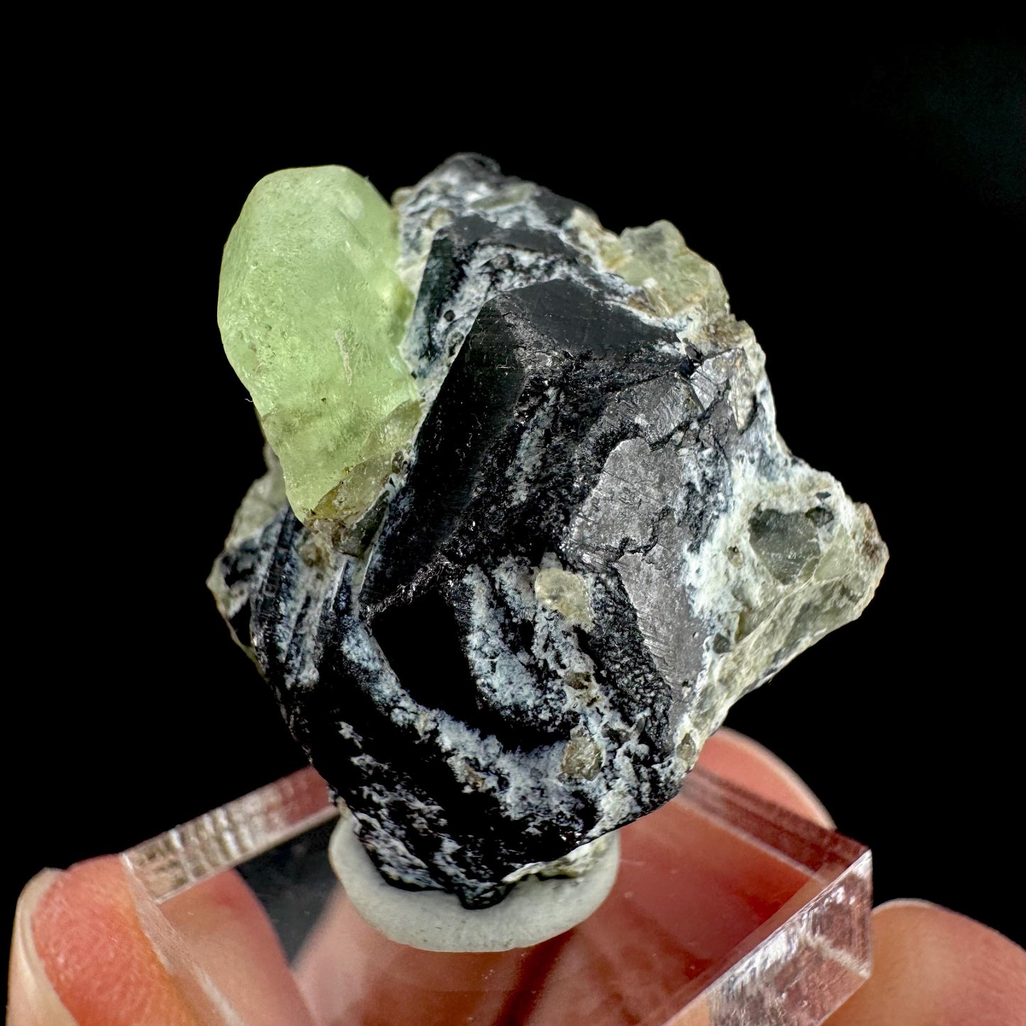 Peridot w/ magnetite | natural terminated crystal, mineral specimen from Pakistan