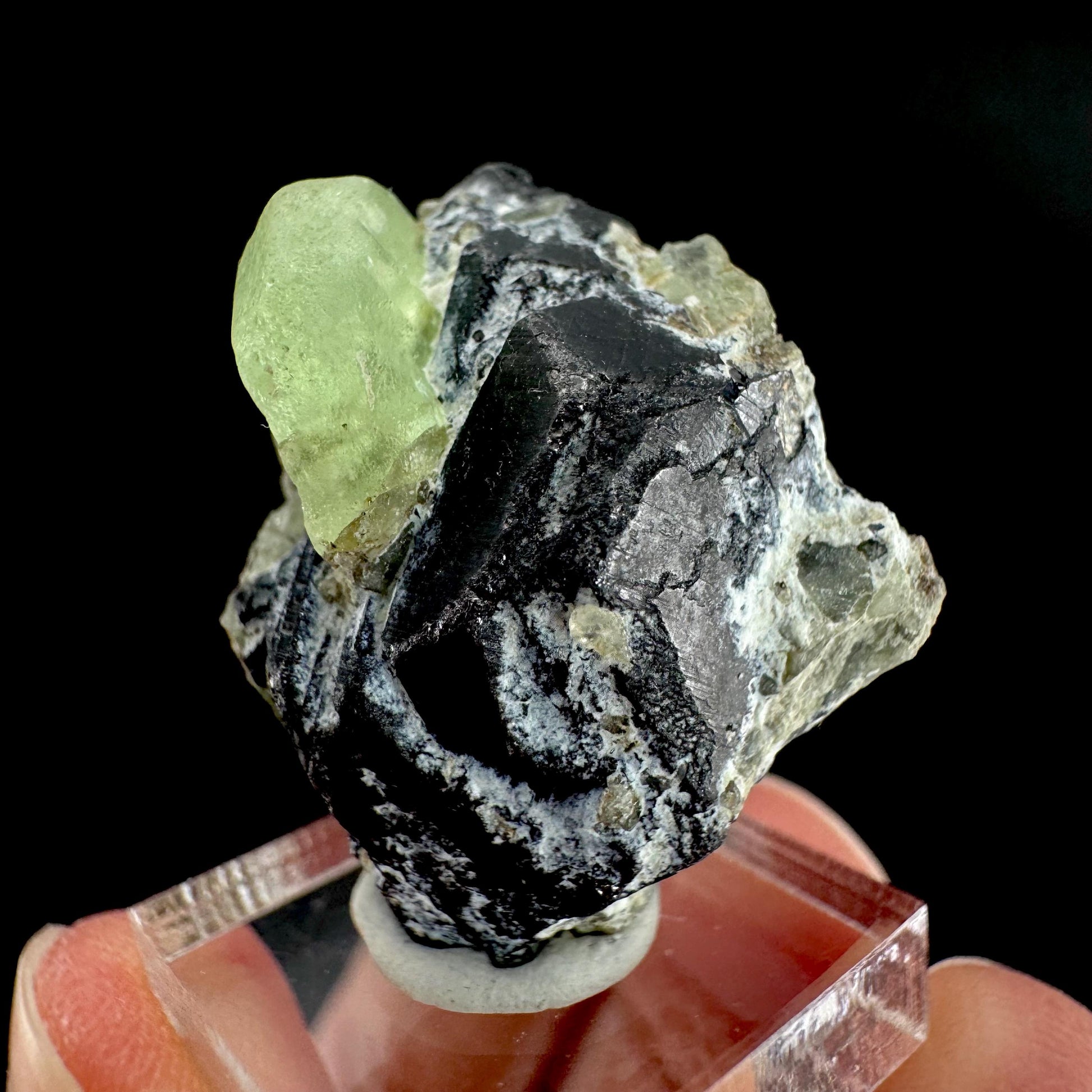 Peridot w/ magnetite | natural terminated crystal, mineral specimen from Pakistan