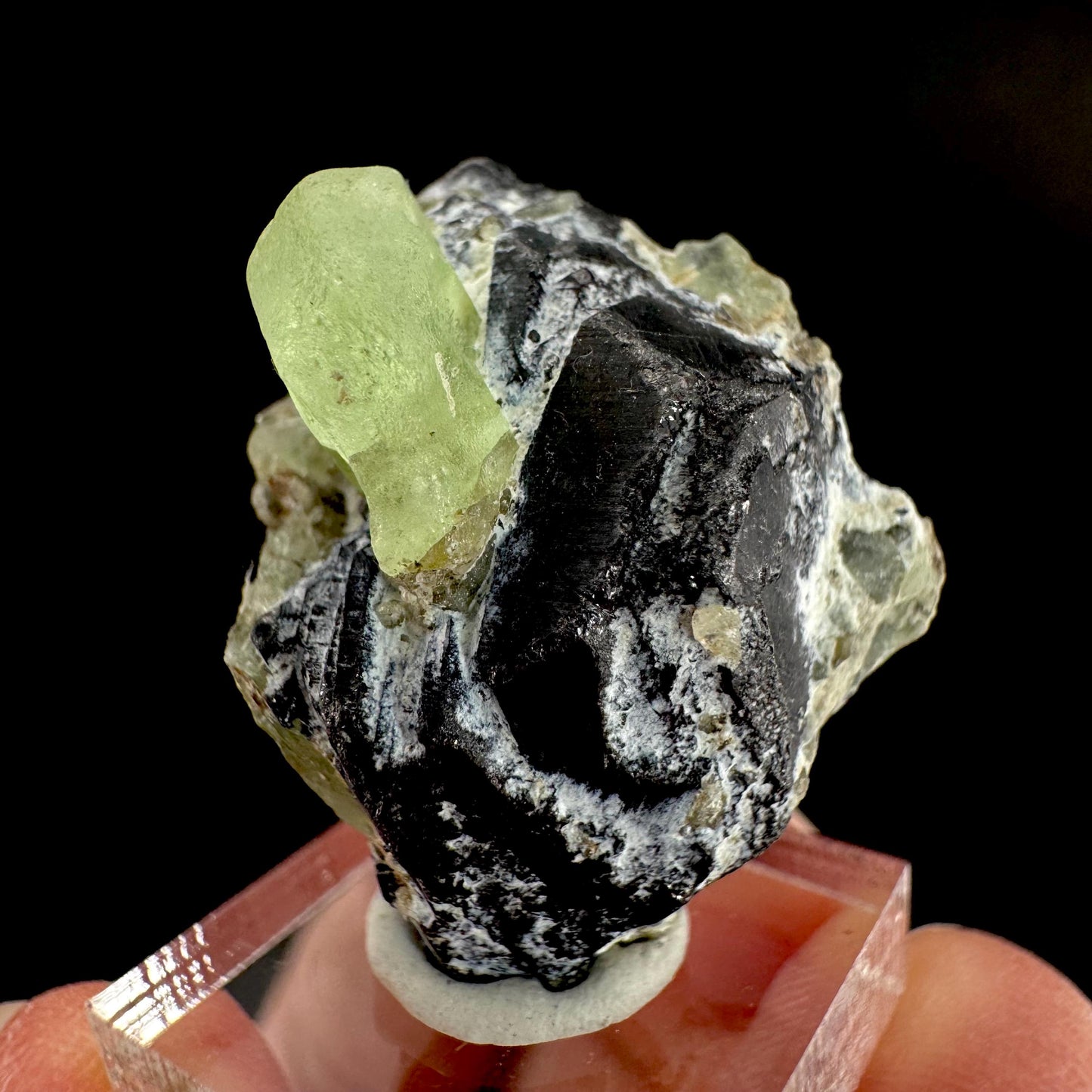 Peridot w/ magnetite | natural terminated crystal, mineral specimen from Pakistan