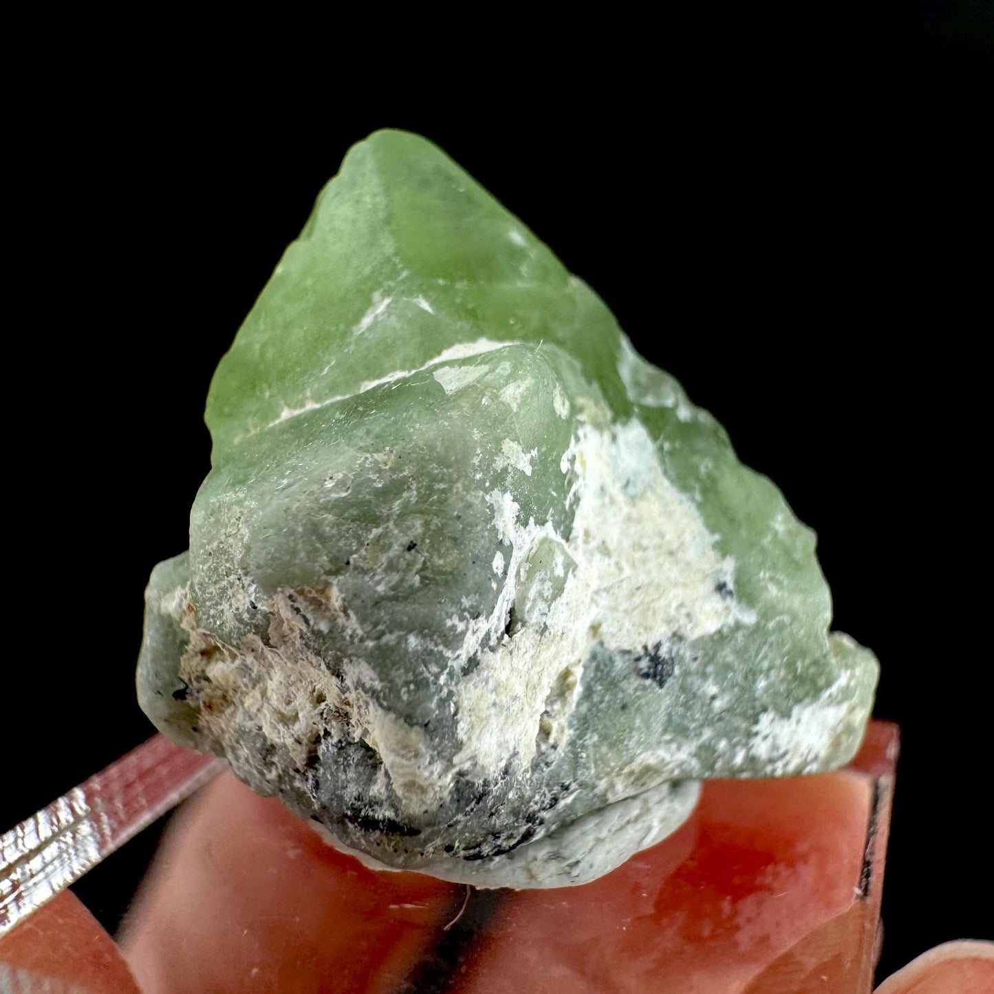 Peridot | natural terminated crystal, mineral specimen from Pakistan