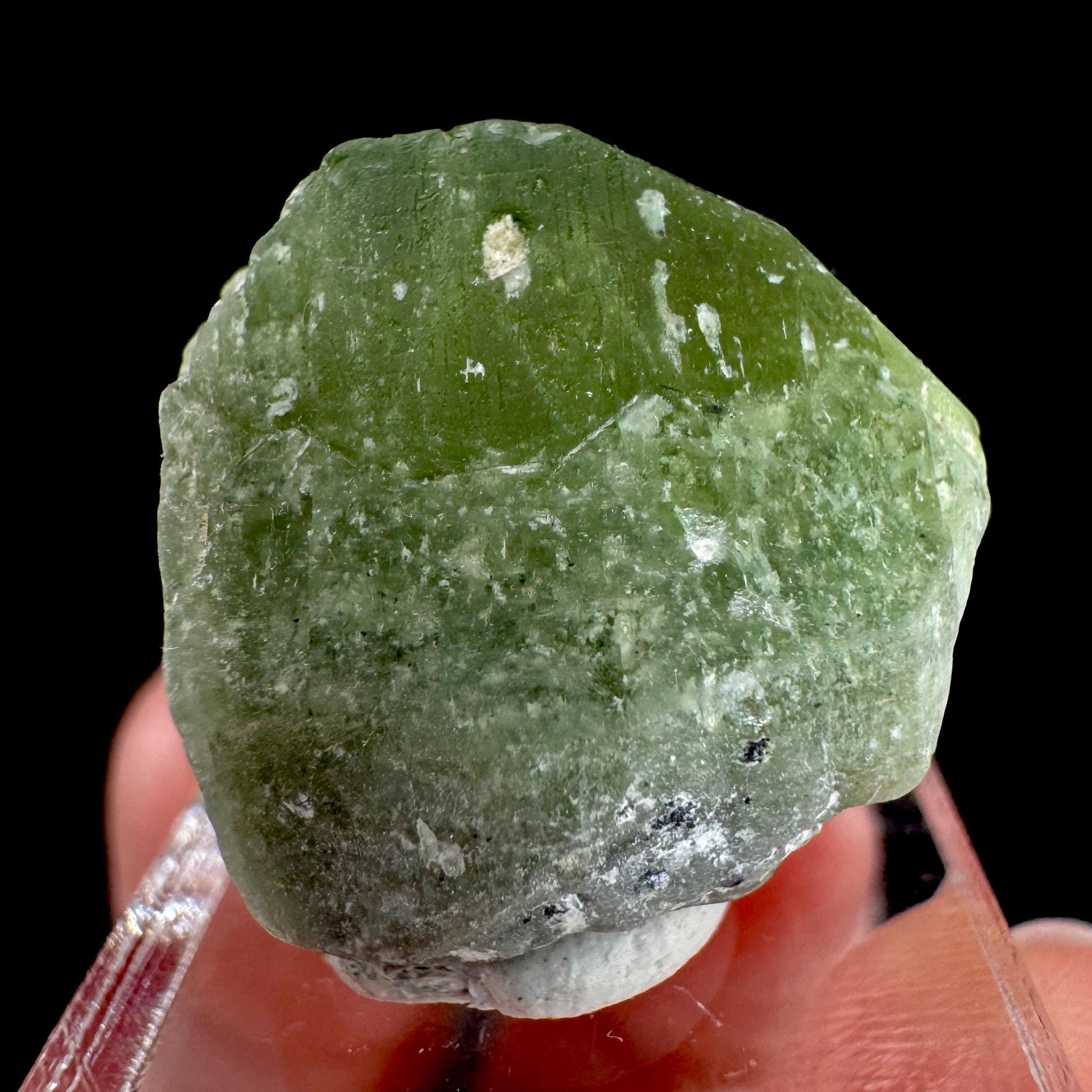 Peridot | natural terminated crystal, mineral specimen from Pakistan