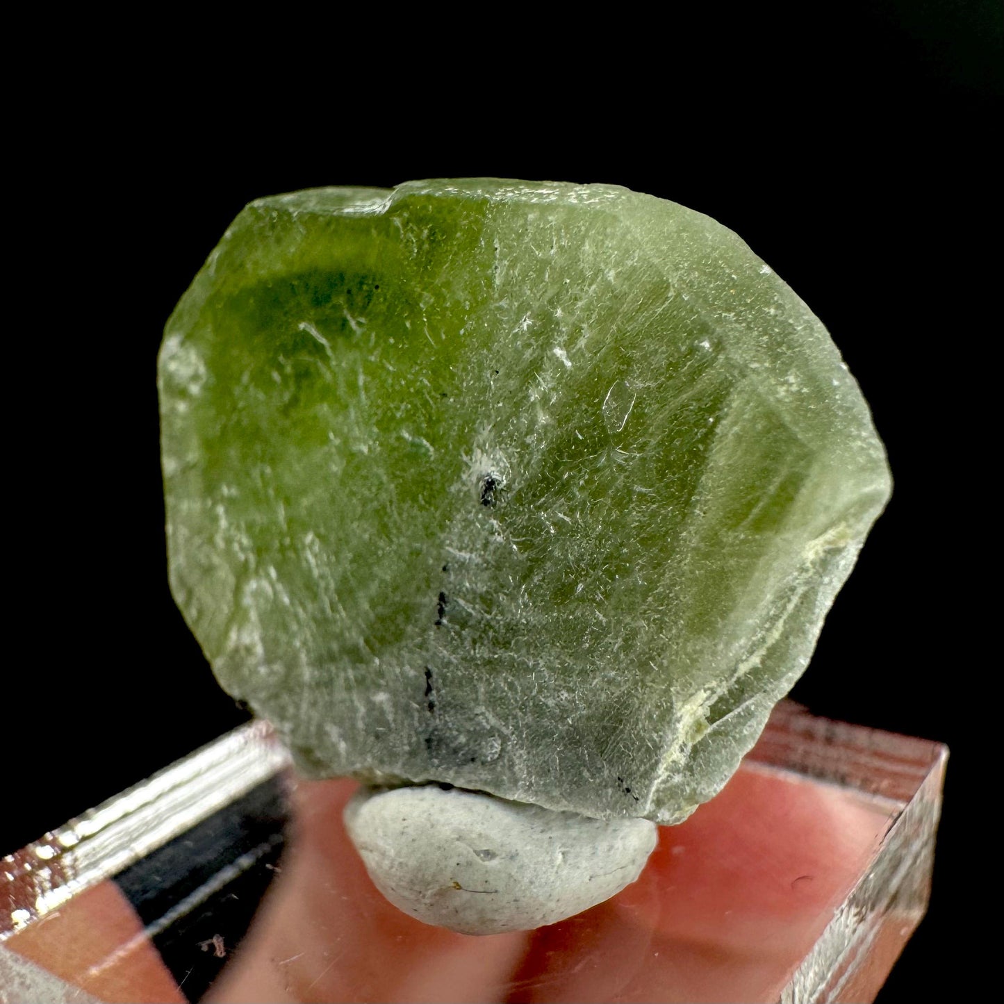 Peridot | natural terminated crystal, mineral specimen from Pakistan