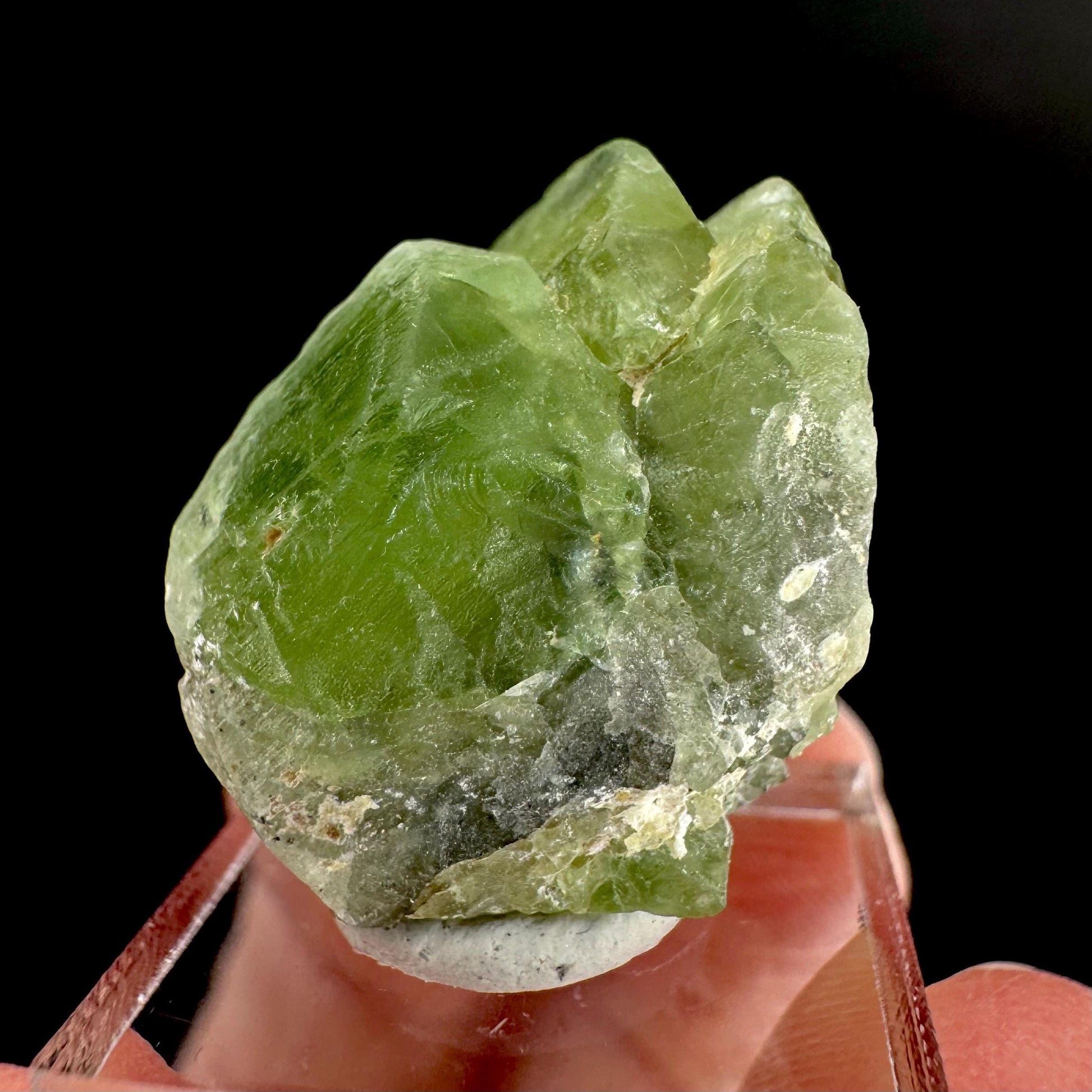 Peridot | natural terminated crystal, mineral specimen from Pakistan