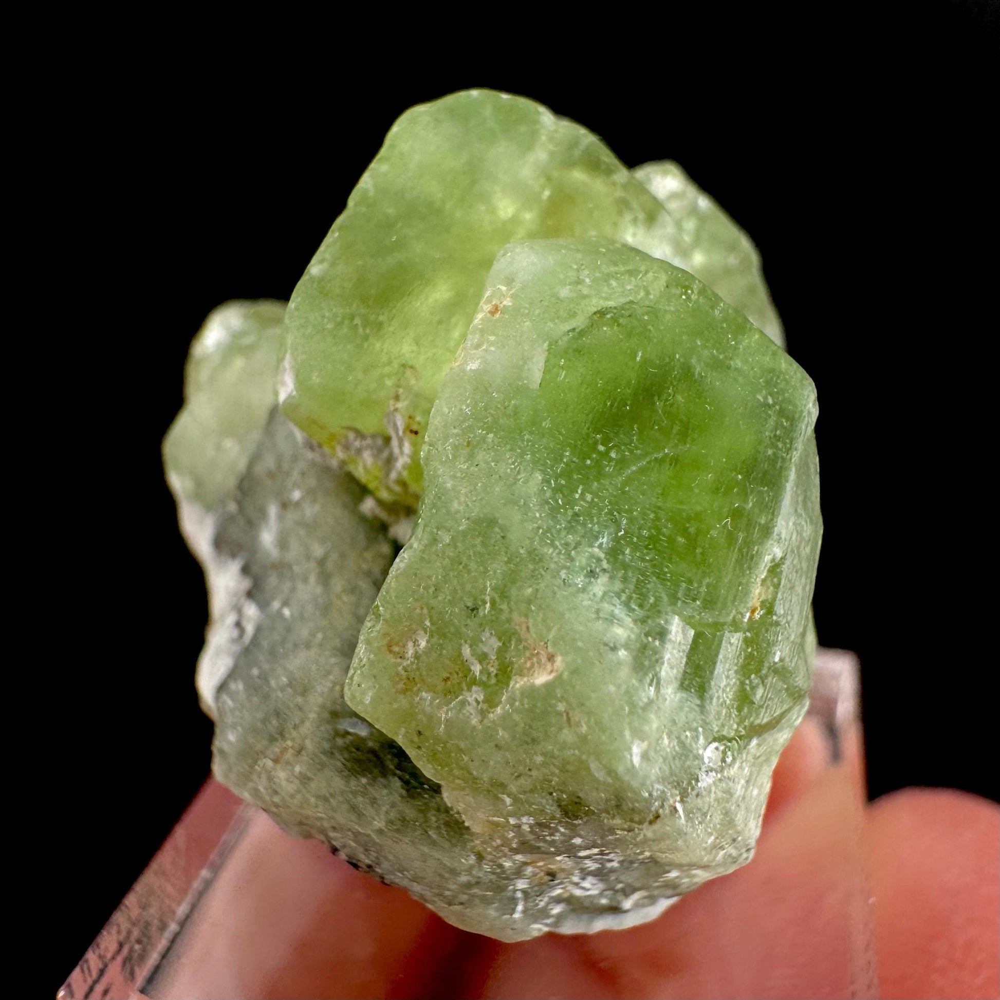 Peridot | natural terminated crystal, mineral specimen from Pakistan