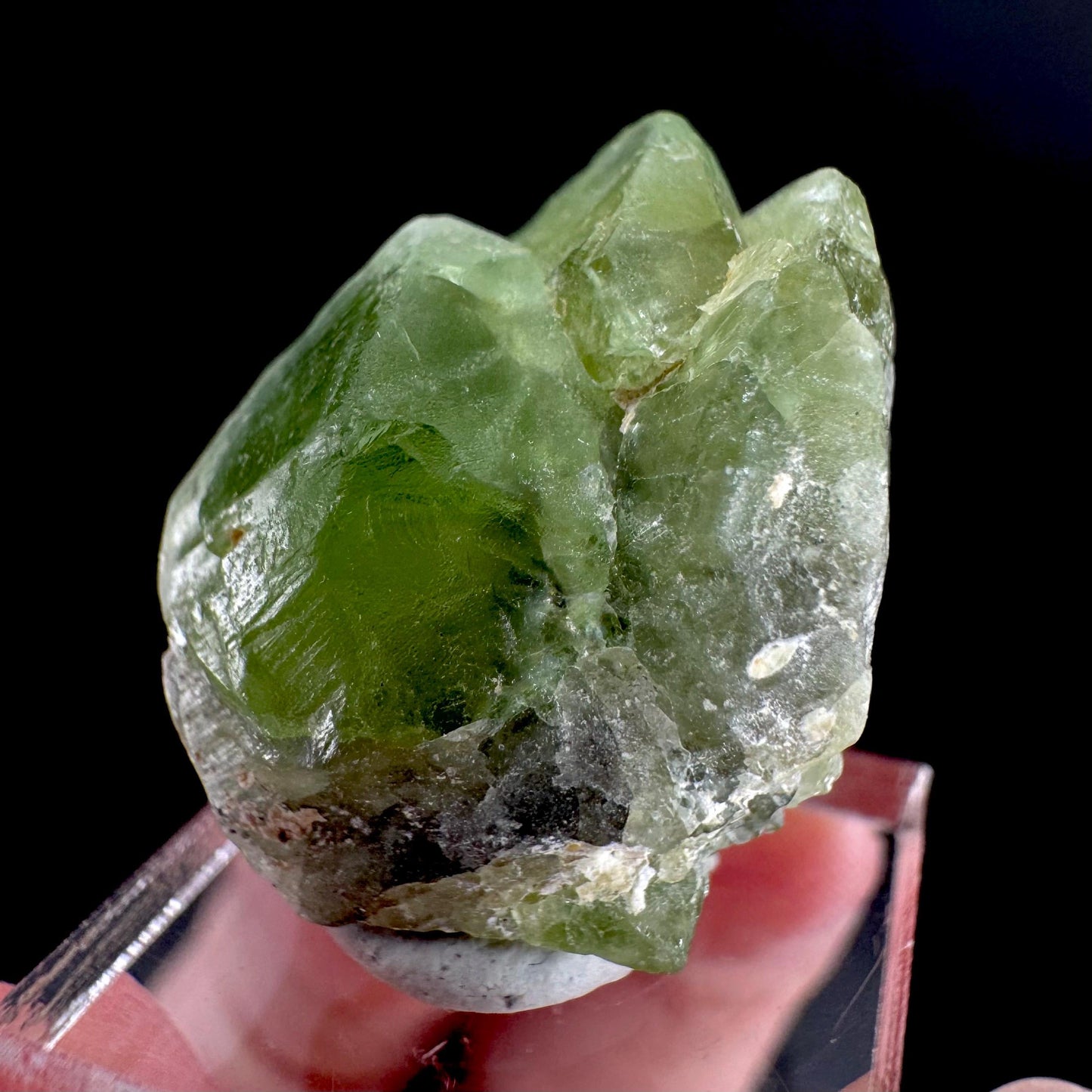 Peridot | natural terminated crystal, mineral specimen from Pakistan