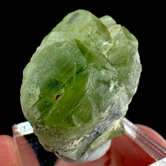 Peridot | natural terminated crystal, mineral specimen from Pakistan