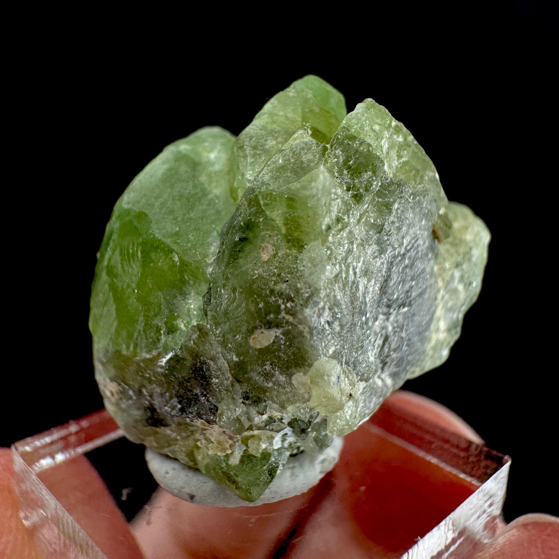Peridot | natural terminated crystal, mineral specimen from Pakistan