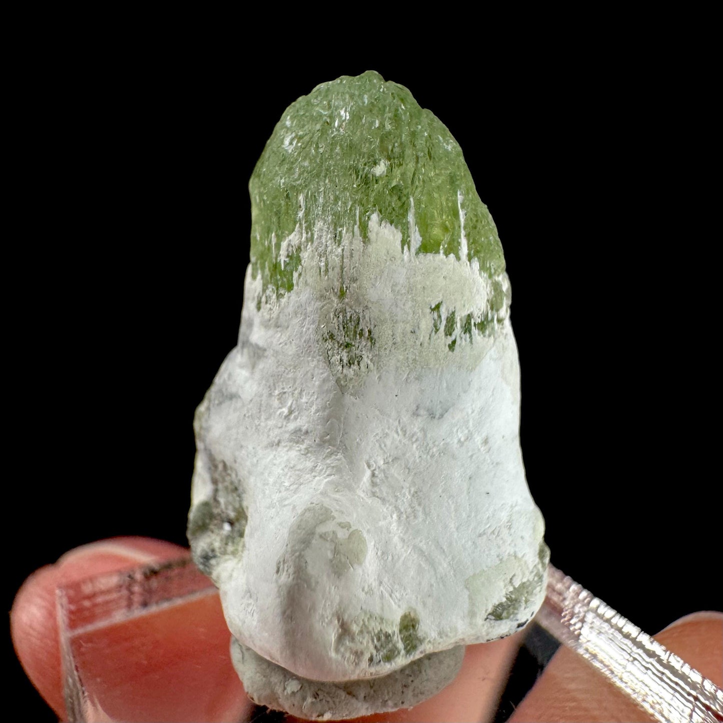 Peridot | natural terminated crystal, mineral specimen from Pakistan