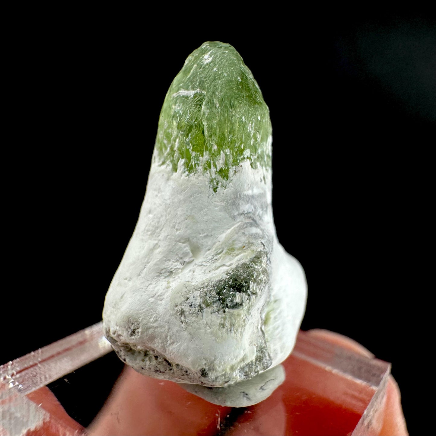 Peridot | natural terminated crystal, mineral specimen from Pakistan