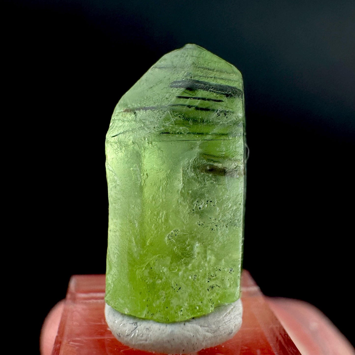 Peridot | natural terminated crystal, mineral specimen from Pakistan