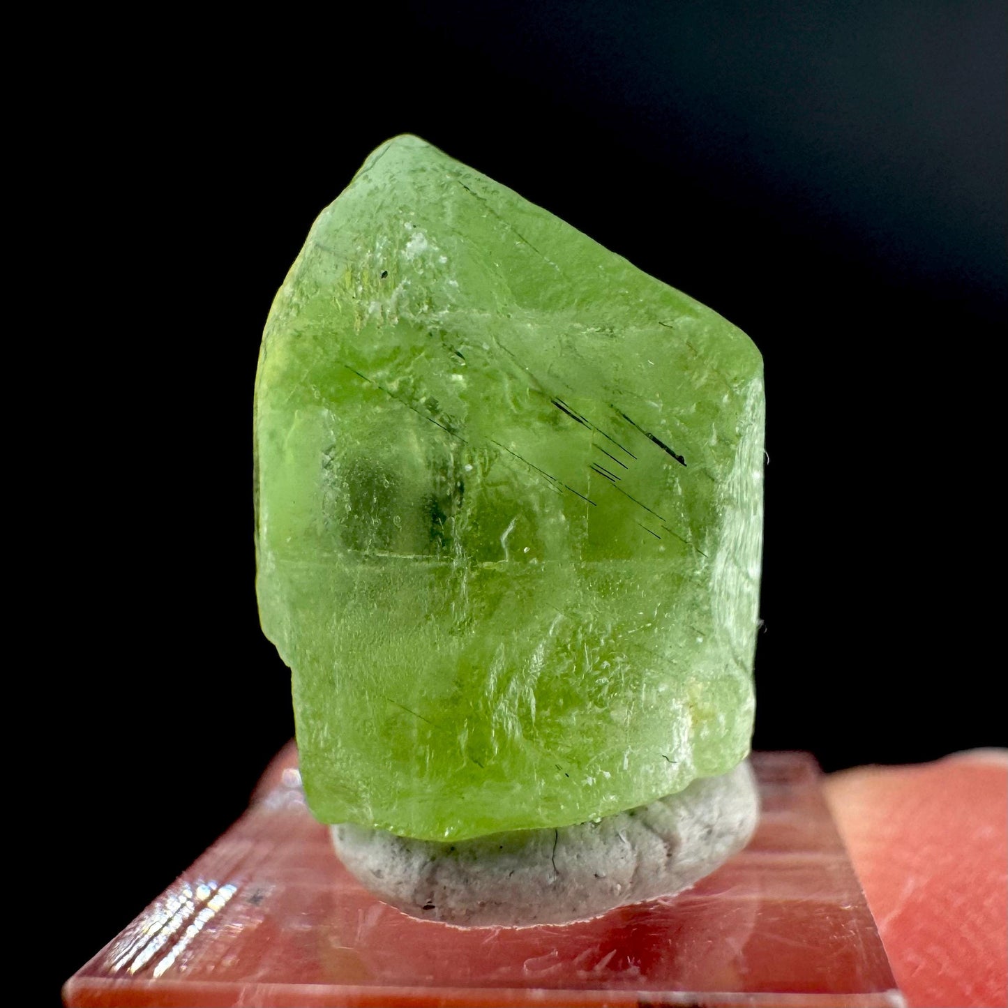 Peridot | natural terminated crystal, mineral specimen from Pakistan