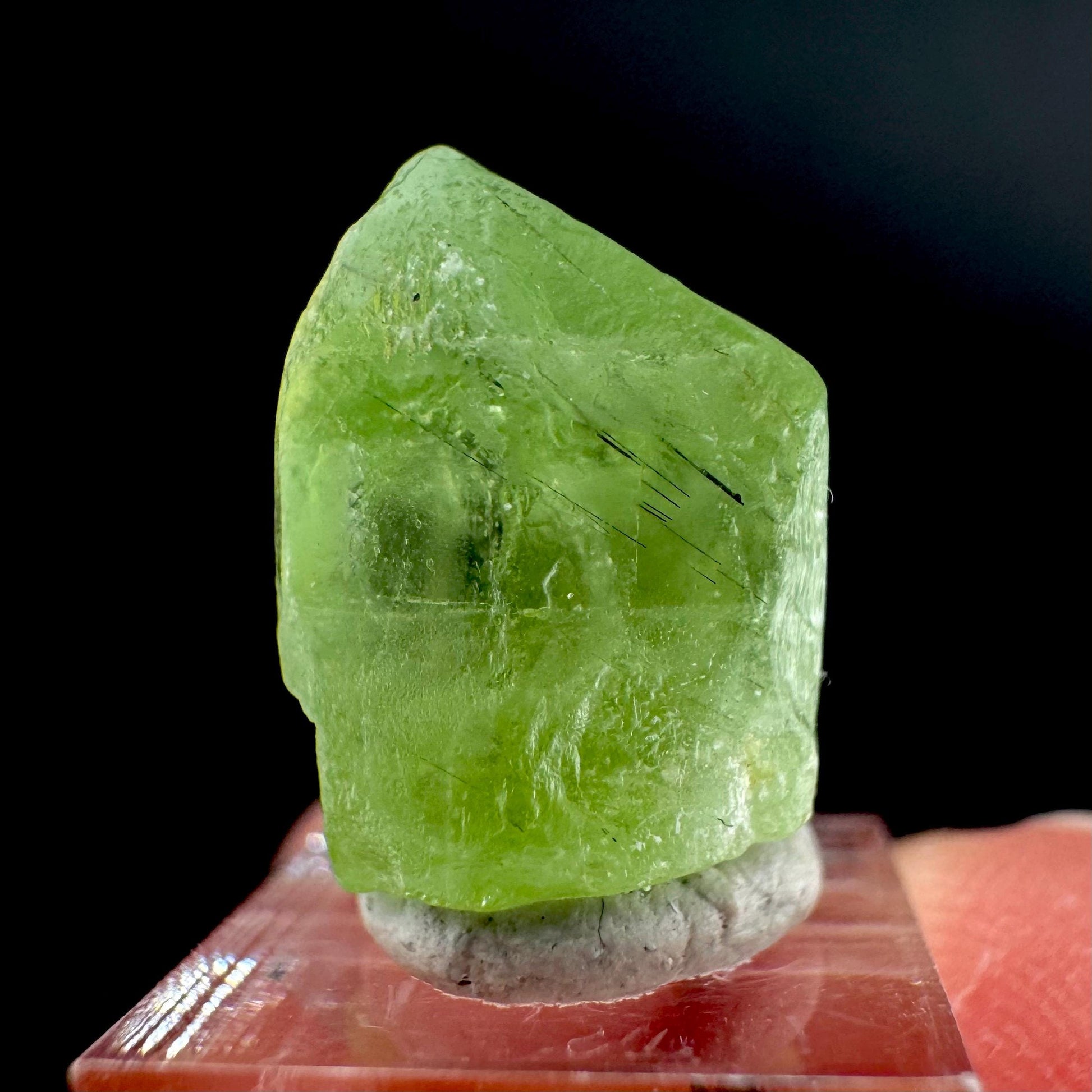 Peridot | natural terminated crystal, mineral specimen from Pakistan
