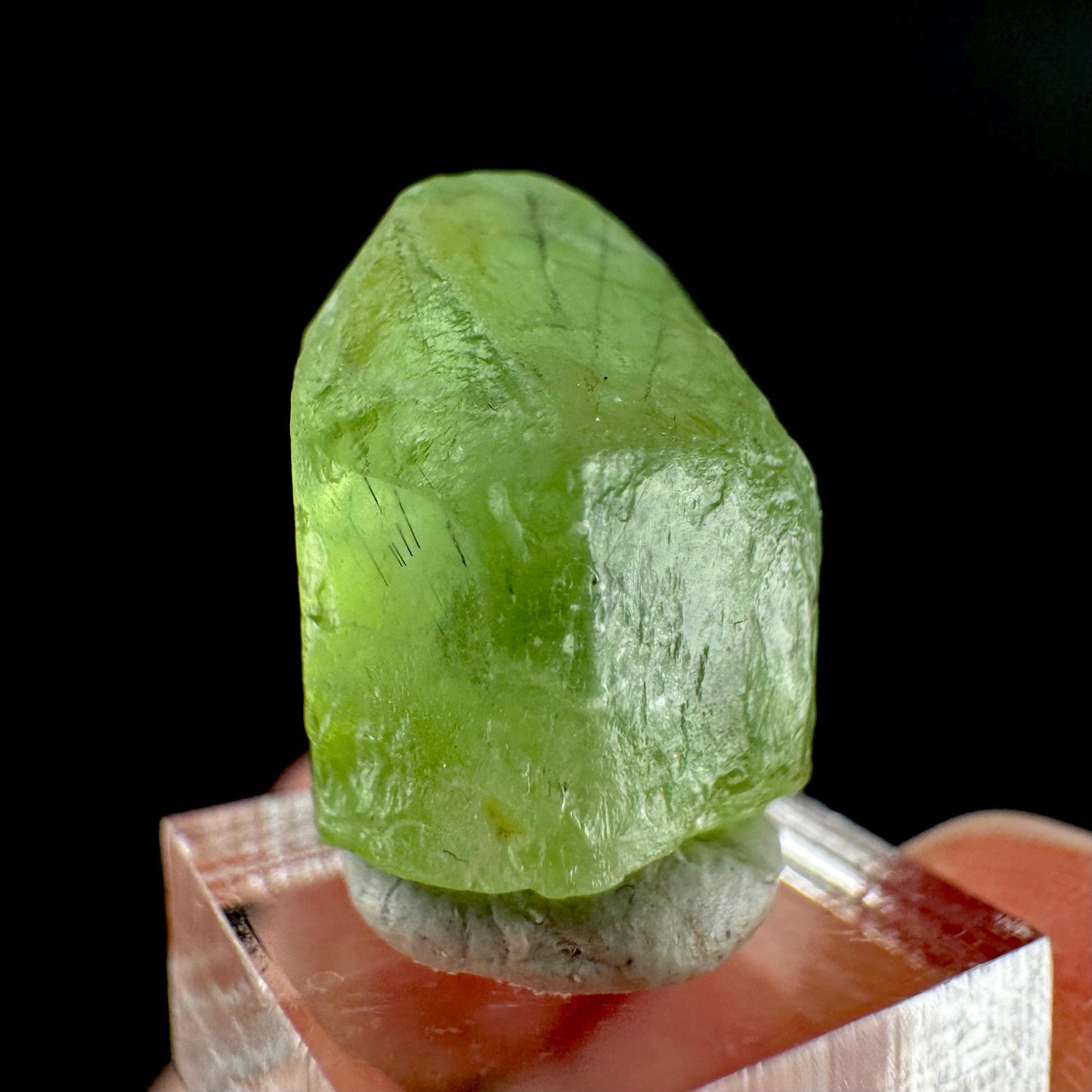 Peridot | natural terminated crystal, mineral specimen from Pakistan