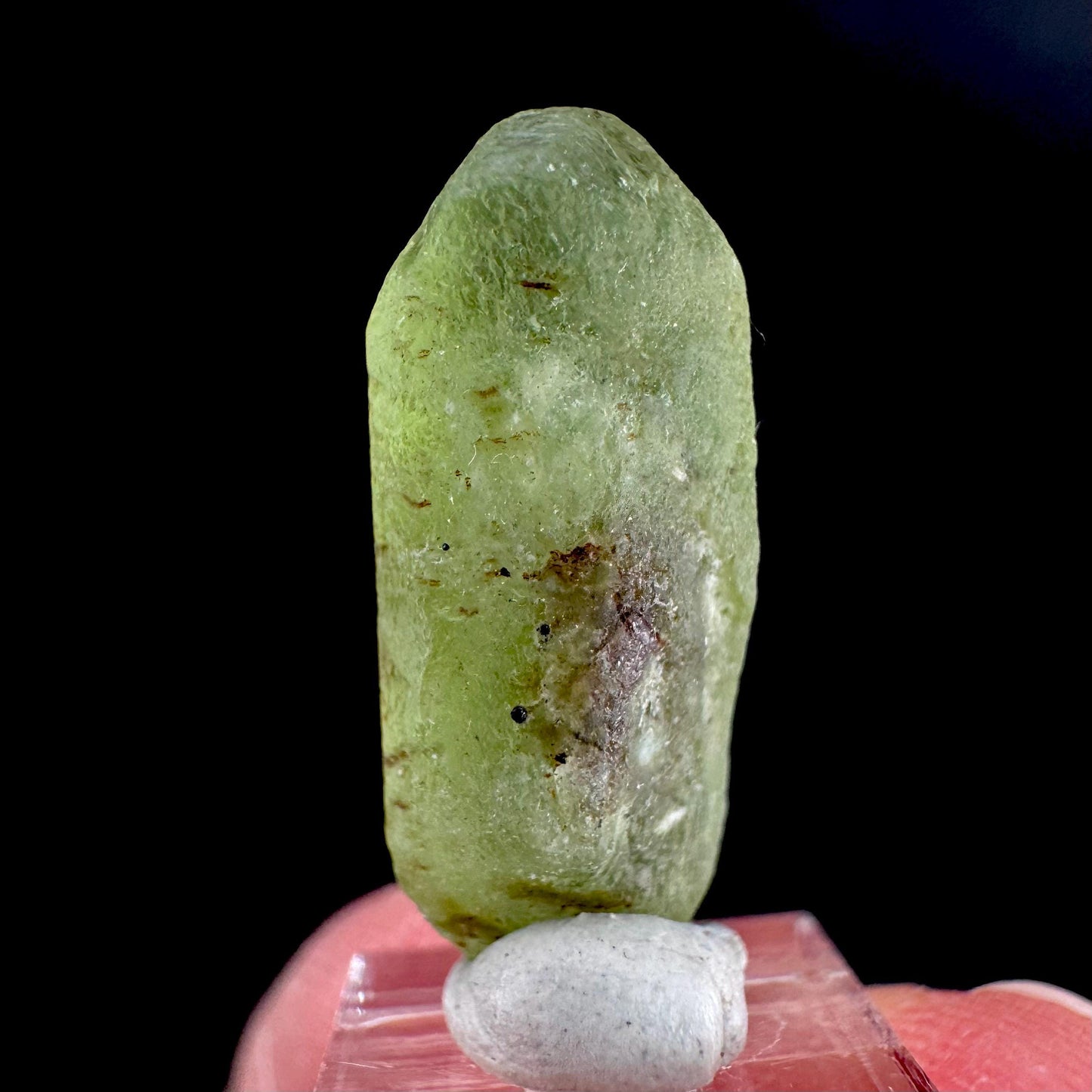 Peridot | natural terminated crystal, mineral specimen from Pakistan