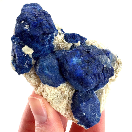 Lazurite on Calcite | blue crystal cluster, natural mineral specimen