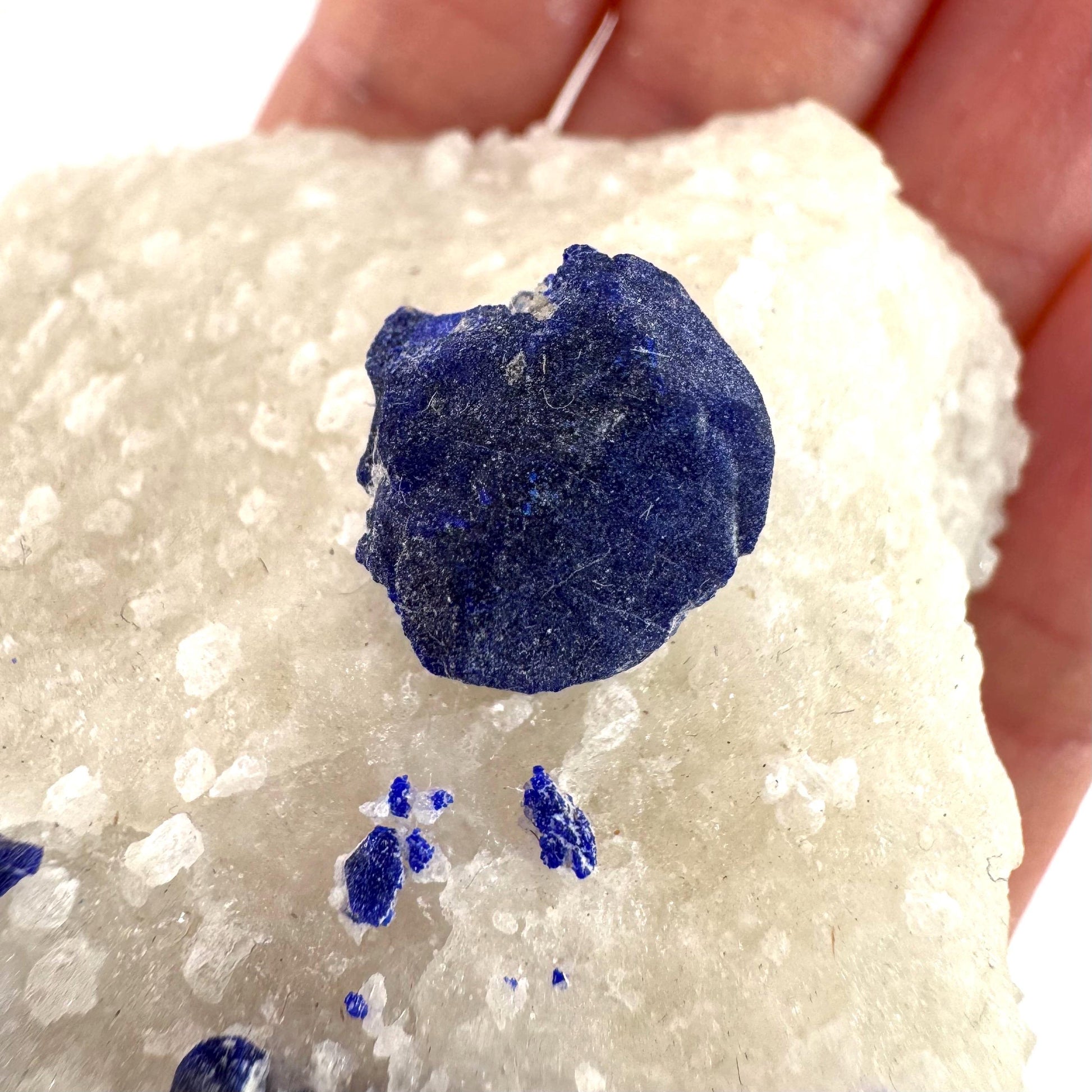 Lazurite & Pyrite on Calcite | blue crystal cluster, natural mineral specimen