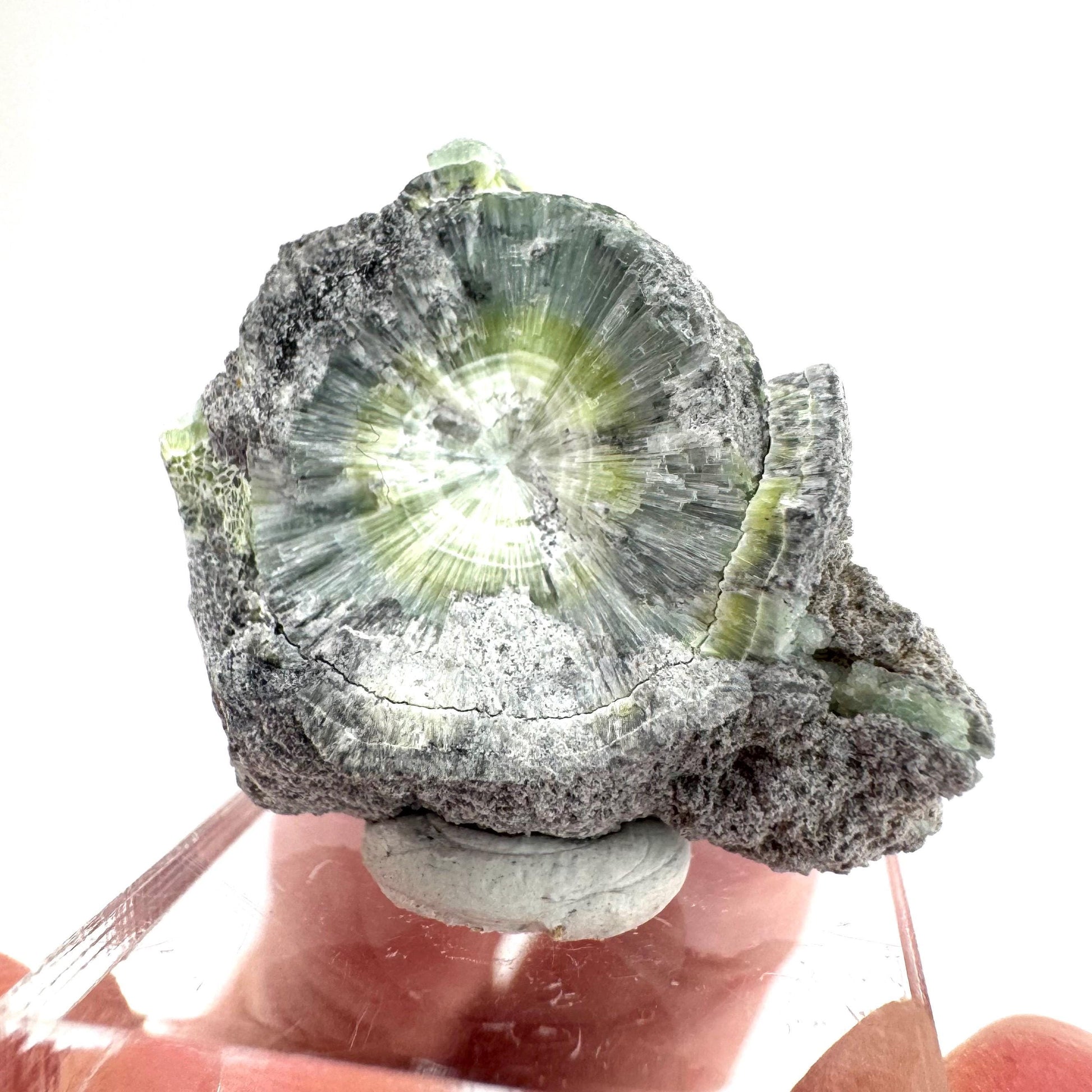 Wavellite (Arkansas, USA) | green crystal cluster, mineral specimen