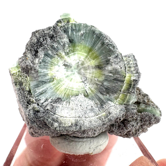 Wavellite (Arkansas, USA) | green crystal cluster, mineral specimen