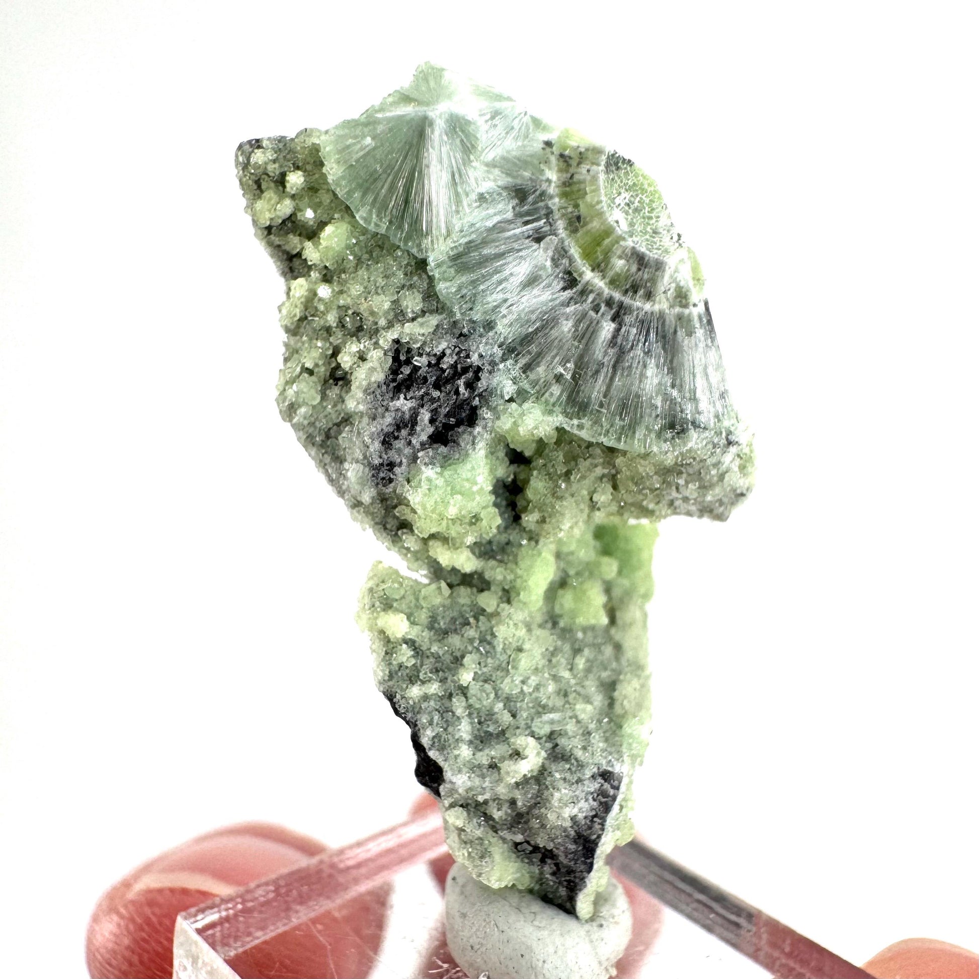 Wavellite (Arkansas, USA) | green crystal cluster, mineral specimen