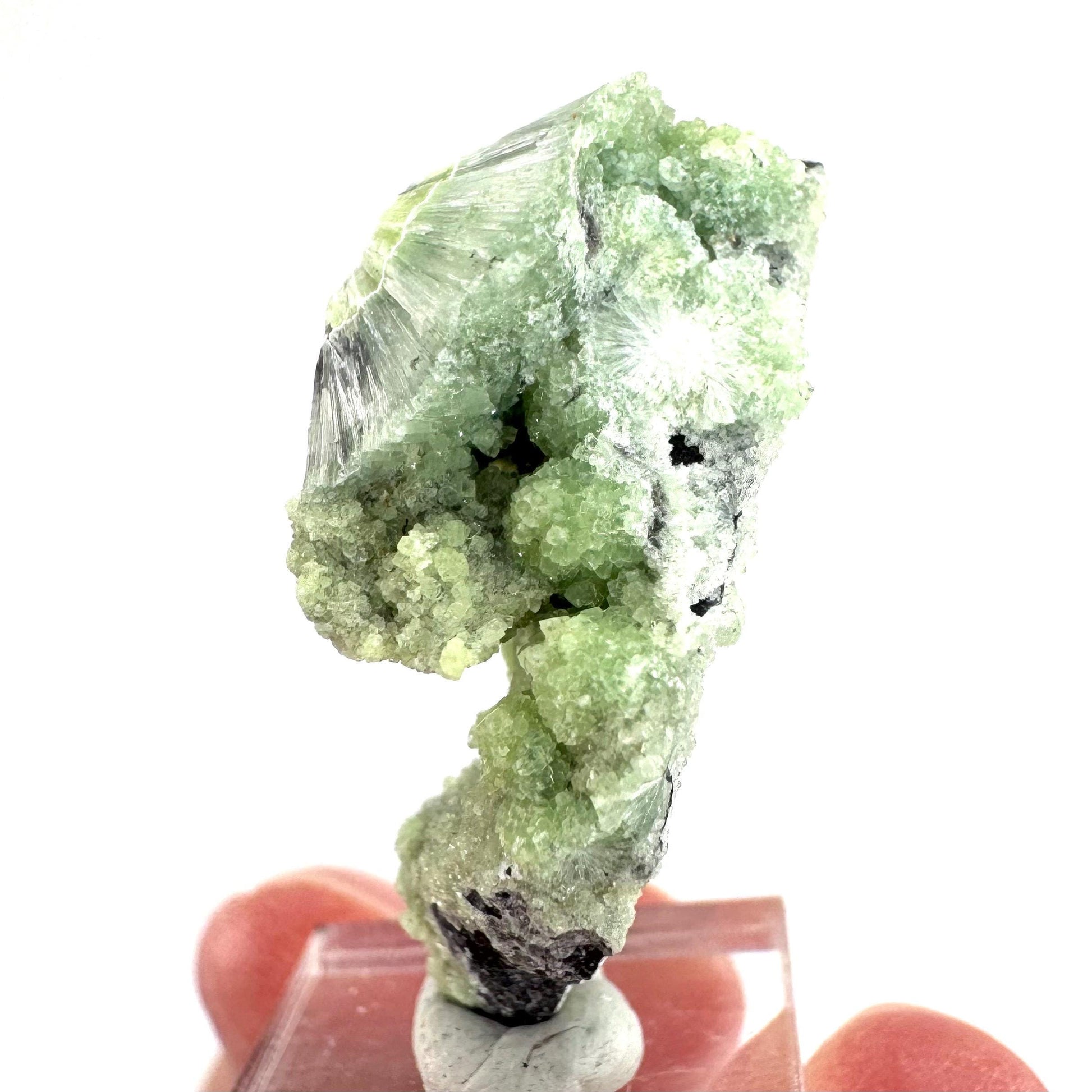 Wavellite (Arkansas, USA) | green crystal cluster, mineral specimen