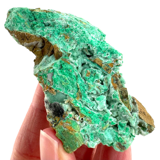Mint Chrysoprase | Druzy Crystal, mineral specimen from Indonesia