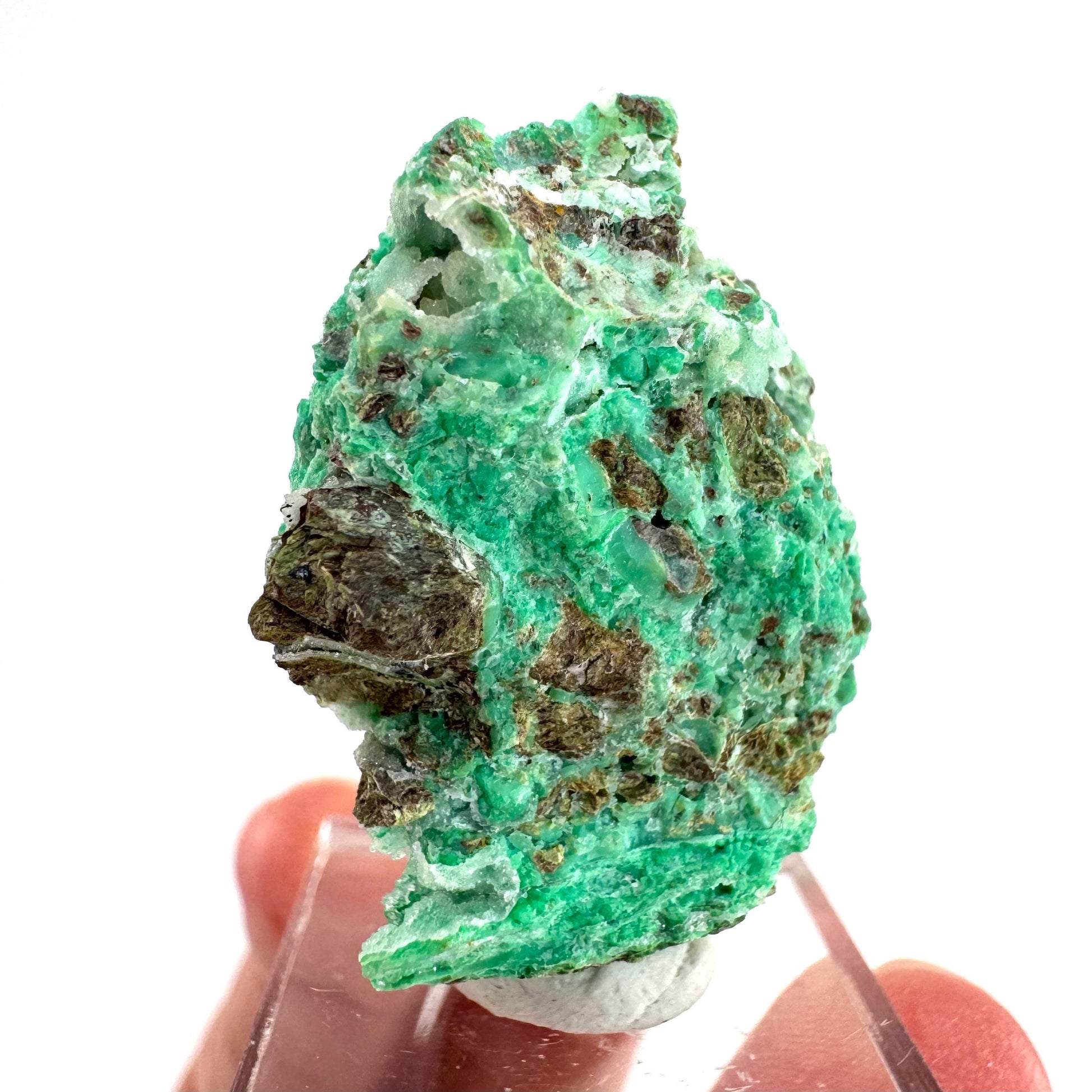 Mint Chrysoprase | Druzy Crystal, mineral specimen from Indonesia