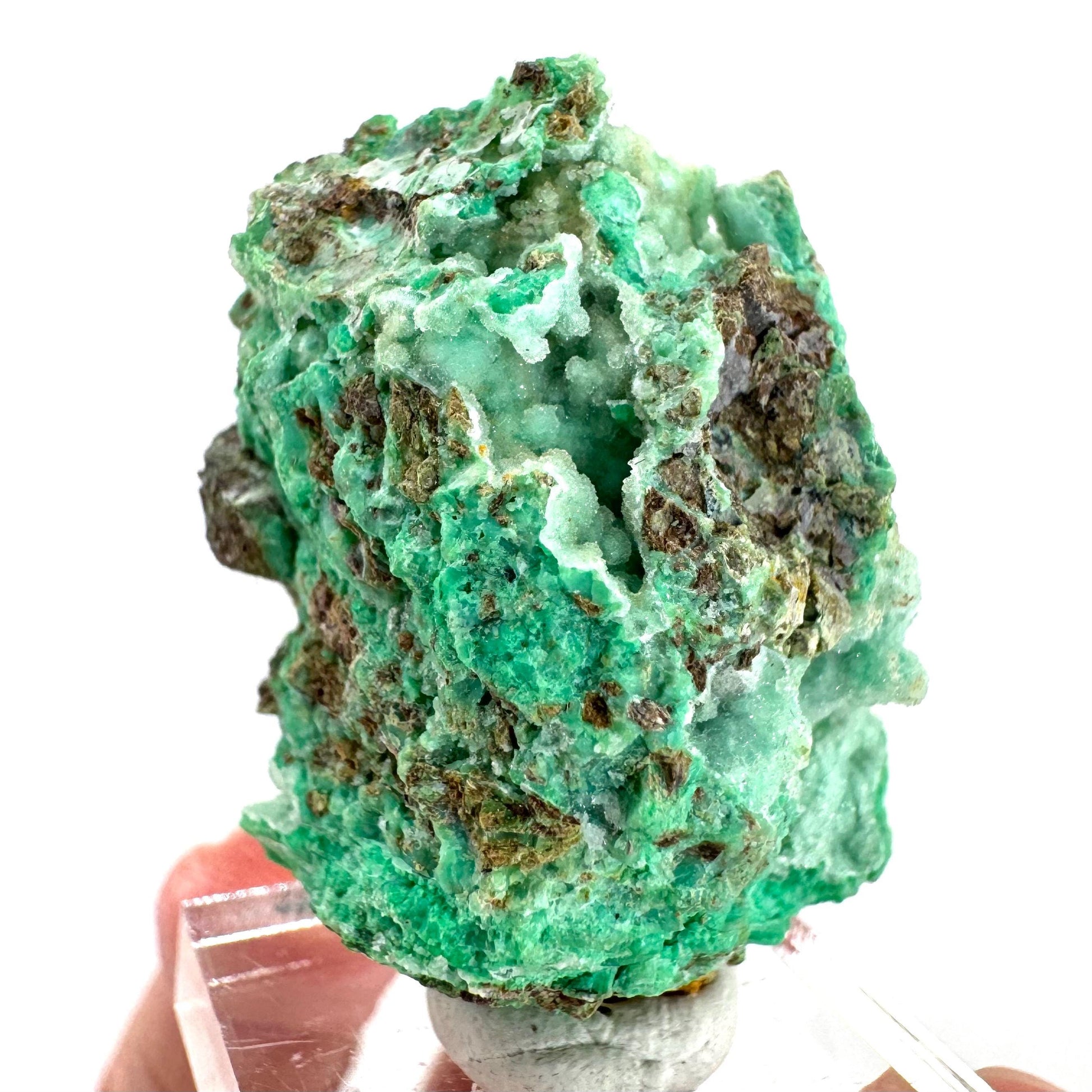 Mint Chrysoprase | Druzy Crystal, mineral specimen from Indonesia