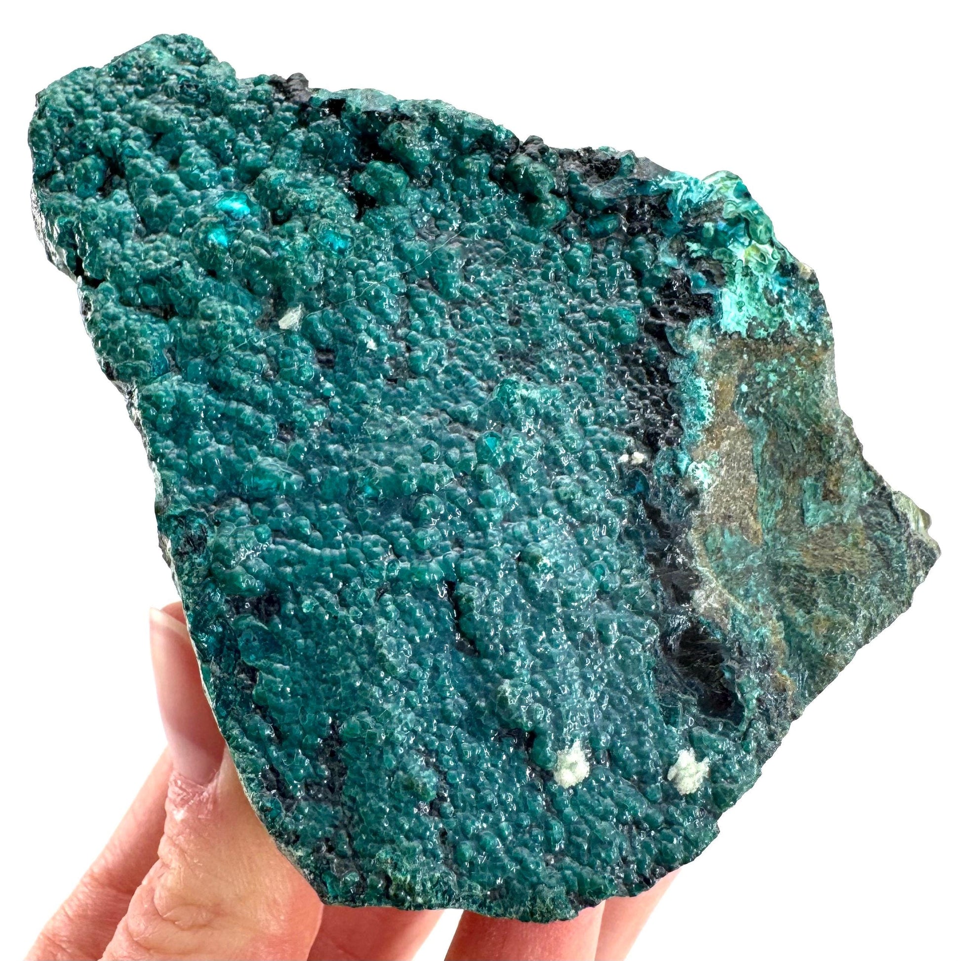 Silica Chrysocolla | natural blue crystal, mineral specimen from DR Congo