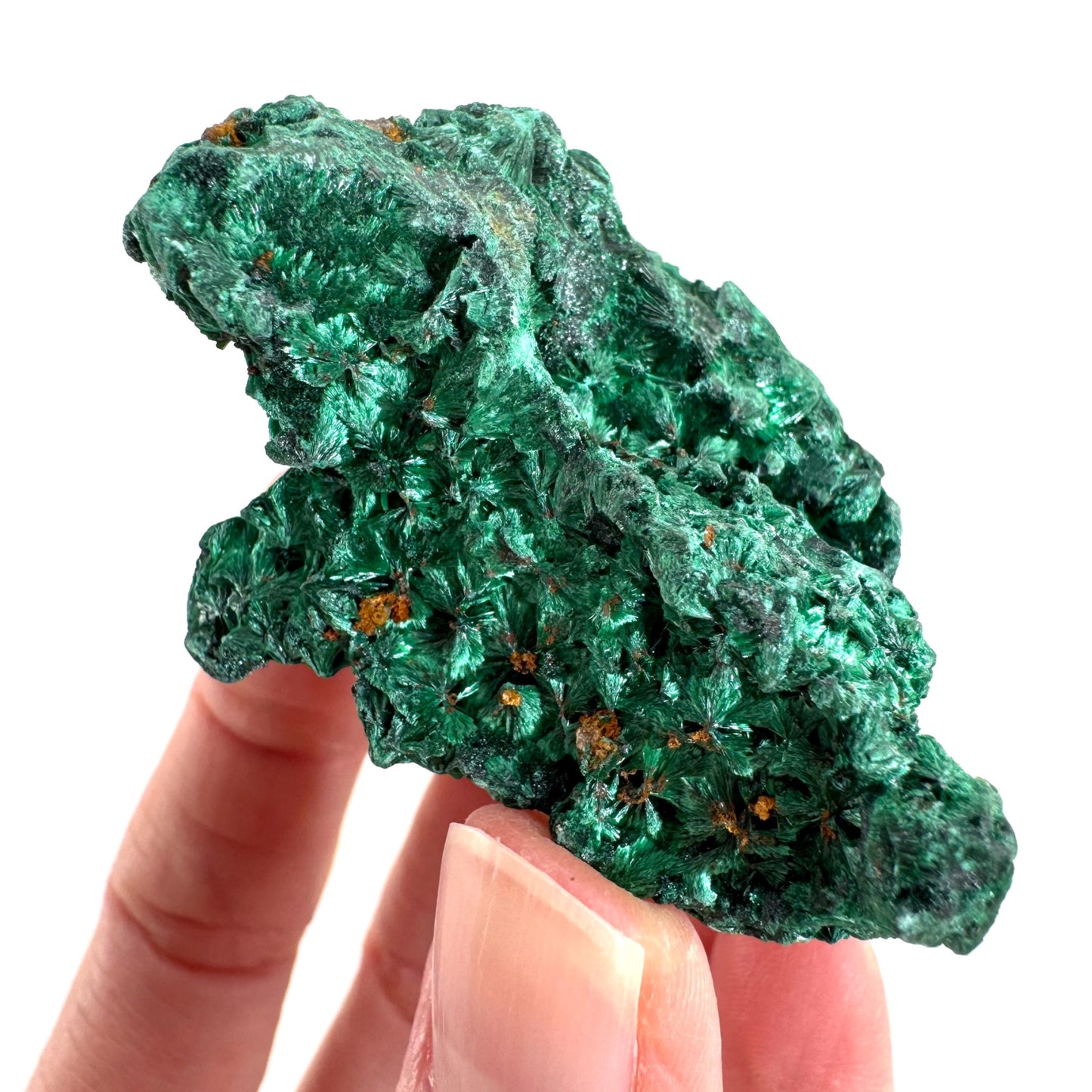 Fibrous Malachite | green velvet crystal, mineral specimen
