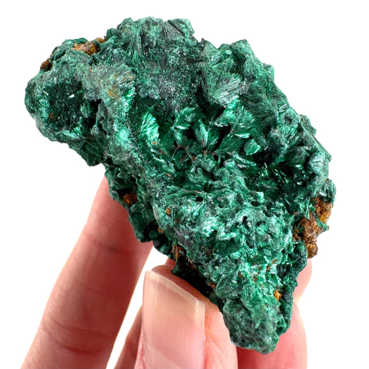 Fibrous Malachite | green velvet crystal, mineral specimen
