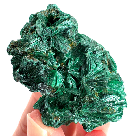 Fibrous Malachite | green velvet crystal, mineral specimen