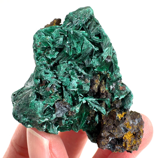 Fibrous Malachite | green velvet crystal, mineral specimen