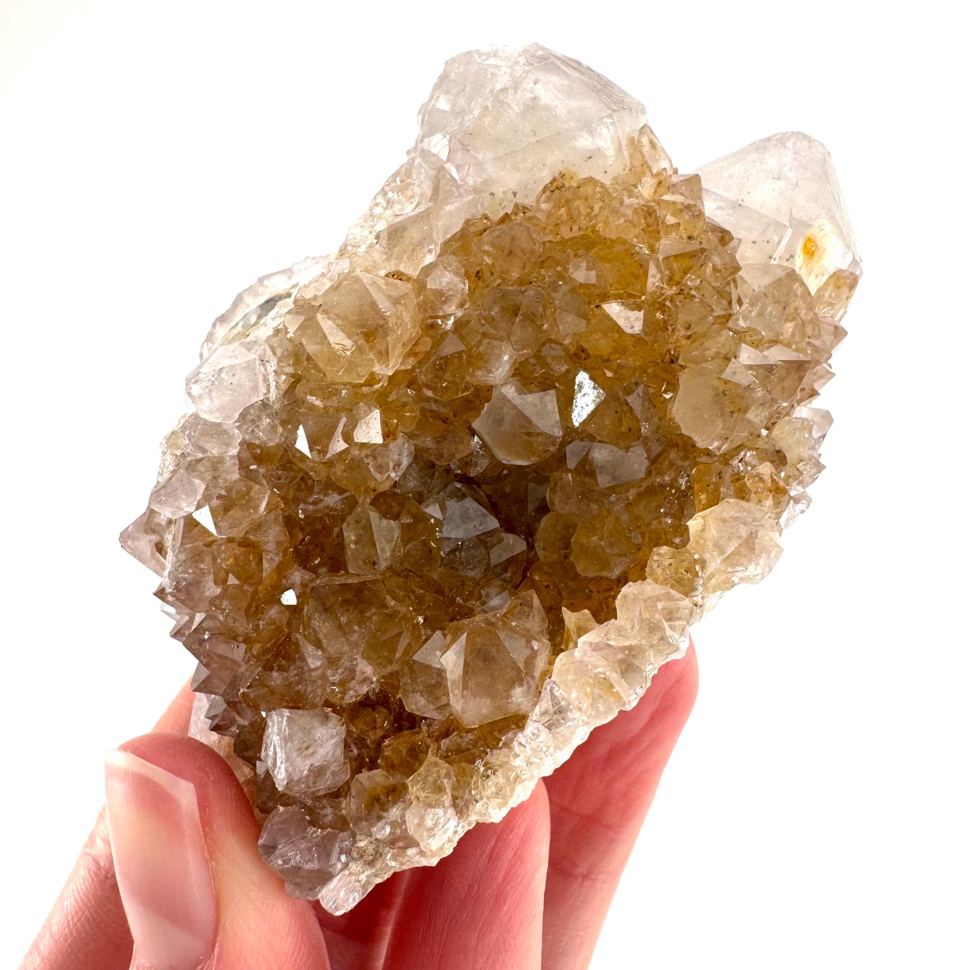 Spirit Quartz Cluster | Cactus Quartz Crystal from South Africa