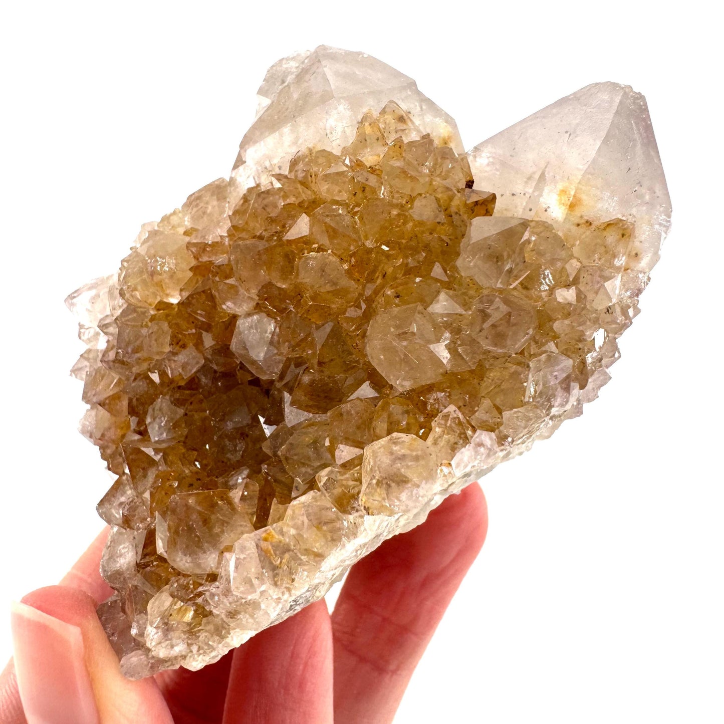 Spirit Quartz Cluster | Cactus Quartz Crystal from South Africa