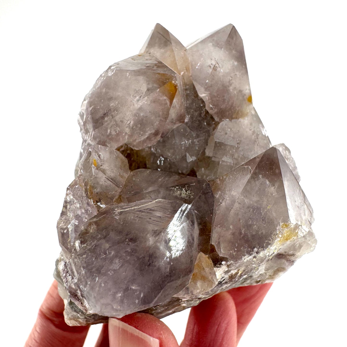 Spirit Quartz Cluster | Cactus Quartz Crystal from South Africa