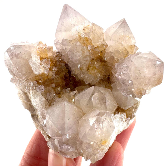 Spirit Quartz Cluster | Cactus Quartz Crystal from South Africa