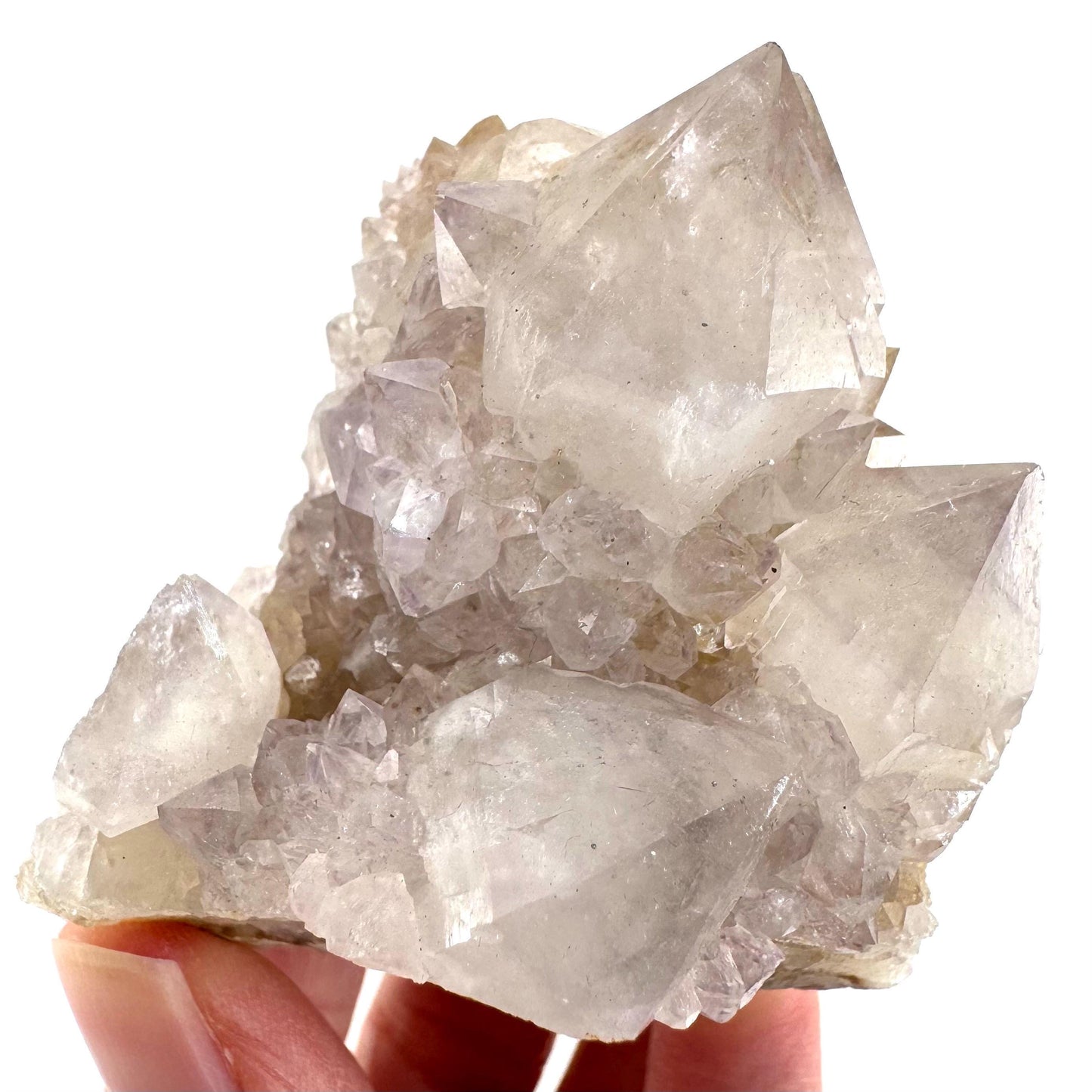 Spirit Quartz Cluster | Cactus Quartz Crystal from South Africa