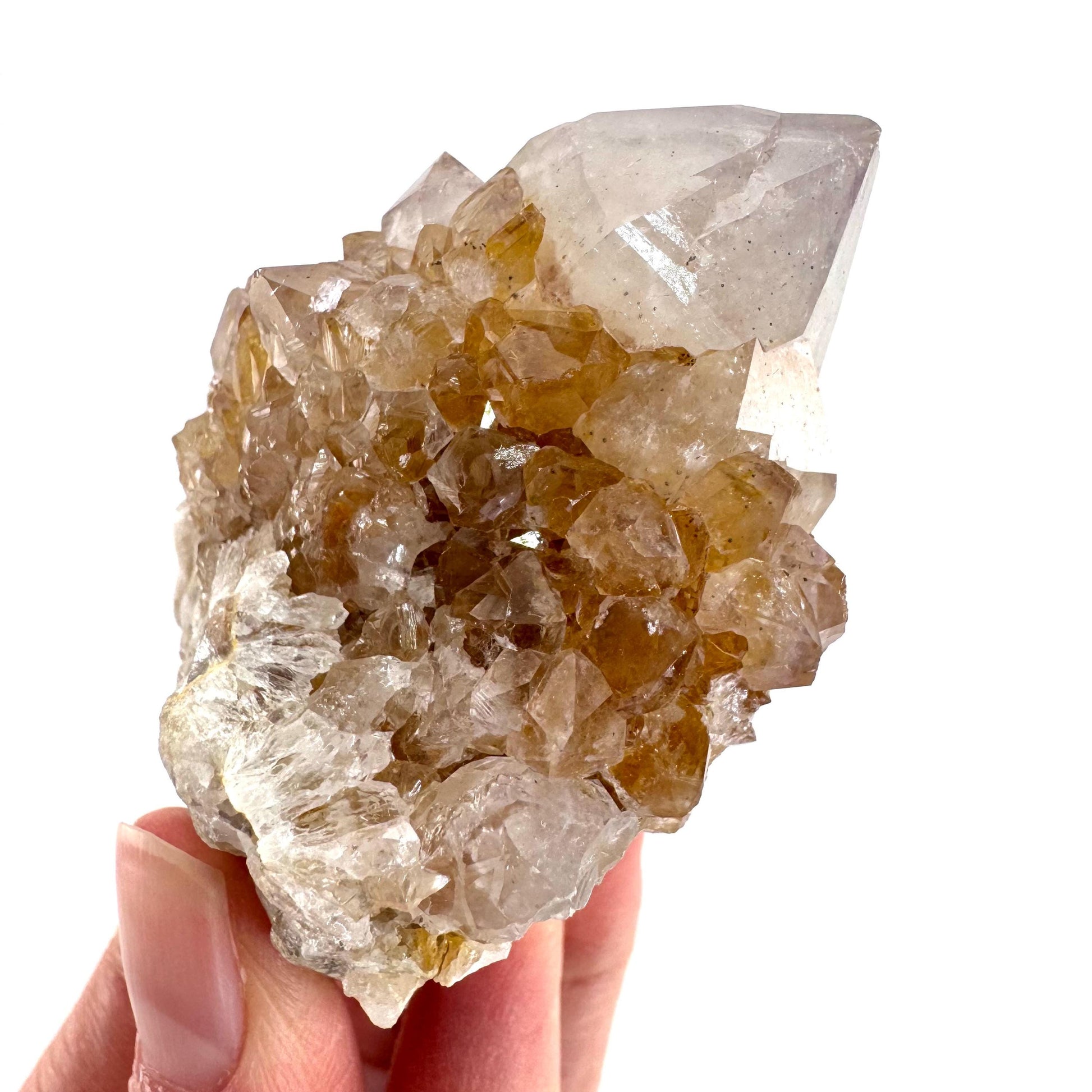 Spirit Quartz Cluster | Cactus Quartz Crystal from South Africa